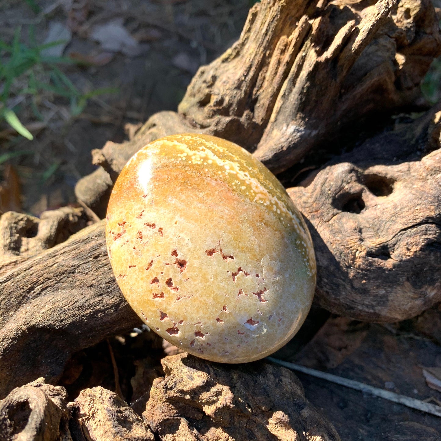 Ocean Jasper Palm Stone 148.6g  From Madagascar