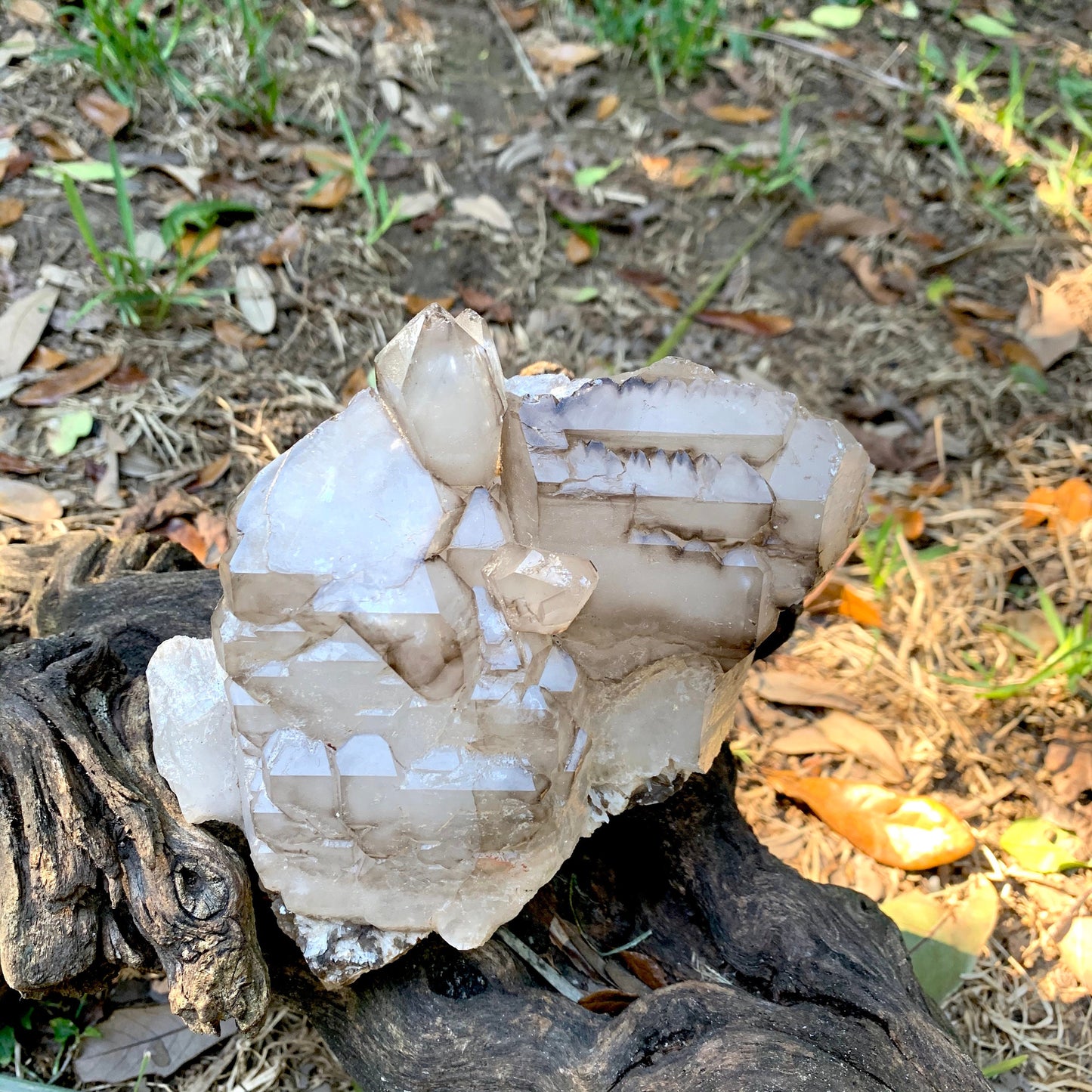 Smokey Elesital Quartz Specimen With Albite and Mica from Minas Gerais Brazil, 1820g 4lbs