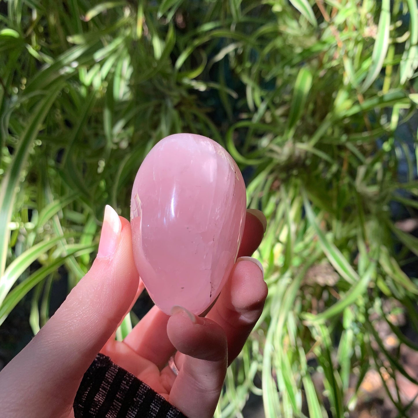 Polished Rose Quartz Palm Stone From Madagascar 137.2g Specimen