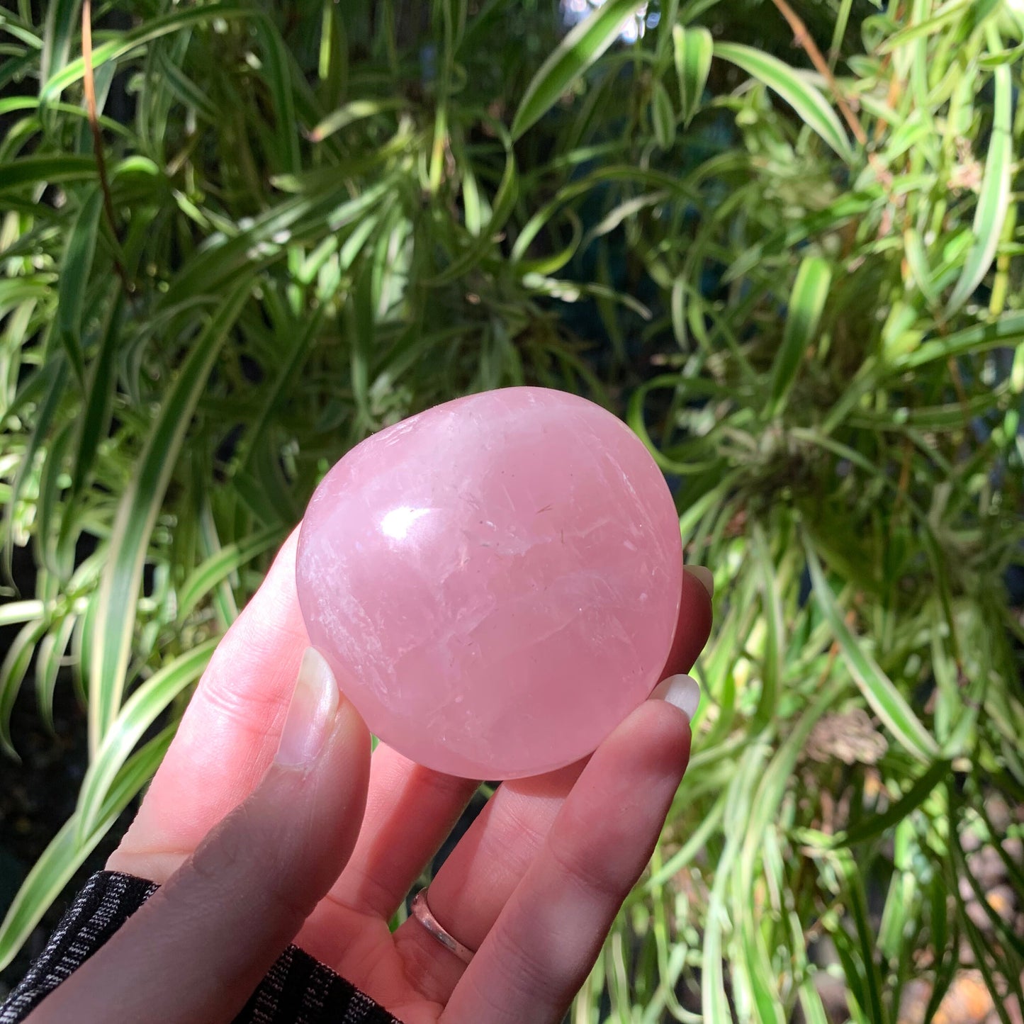 Polished Rose Quartz Palm Stone From Madagascar 137.2g Specimen