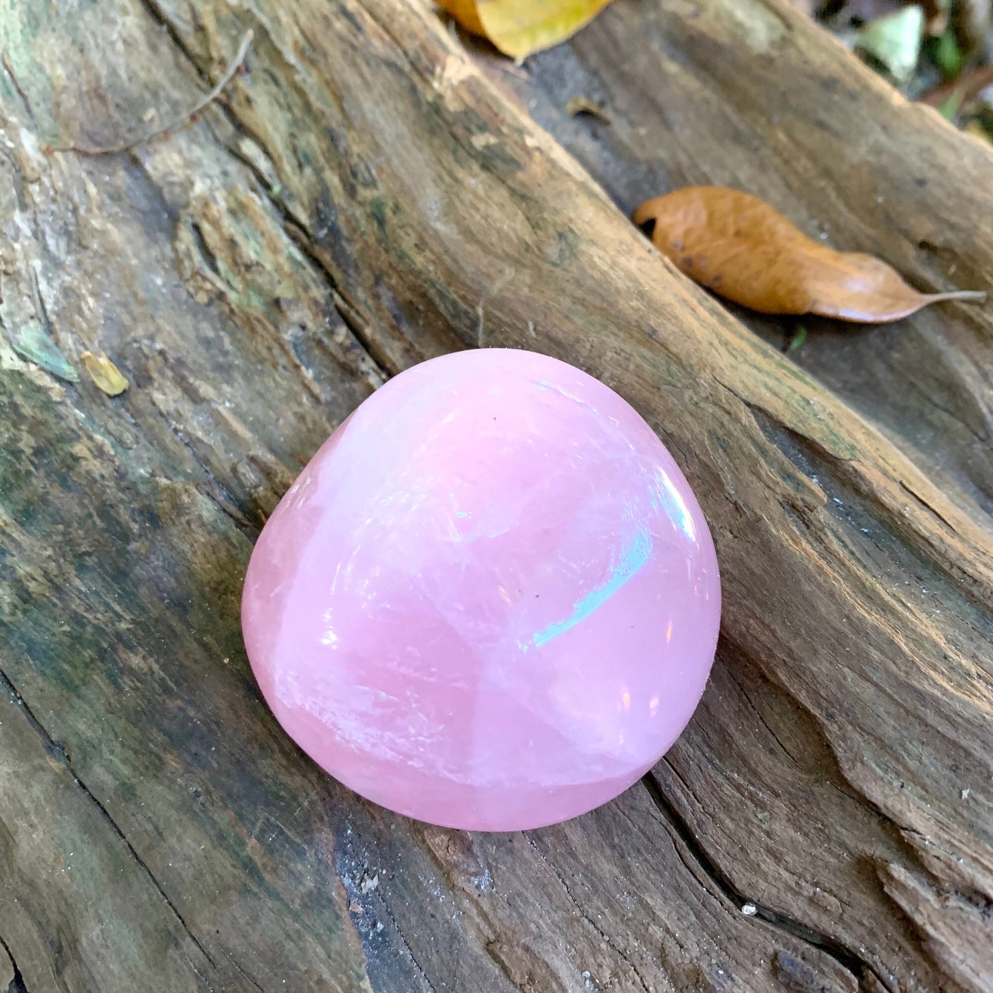 Polished Rose Quartz Palm Stone From Madagascar 137.2g Specimen