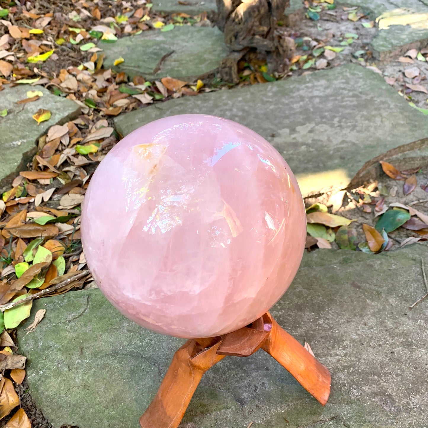 Very Large Polished Rose Quartz Sphere From Brazil 7" 178mm. 18lb 4.7oz 8.29kg with Wood Stand