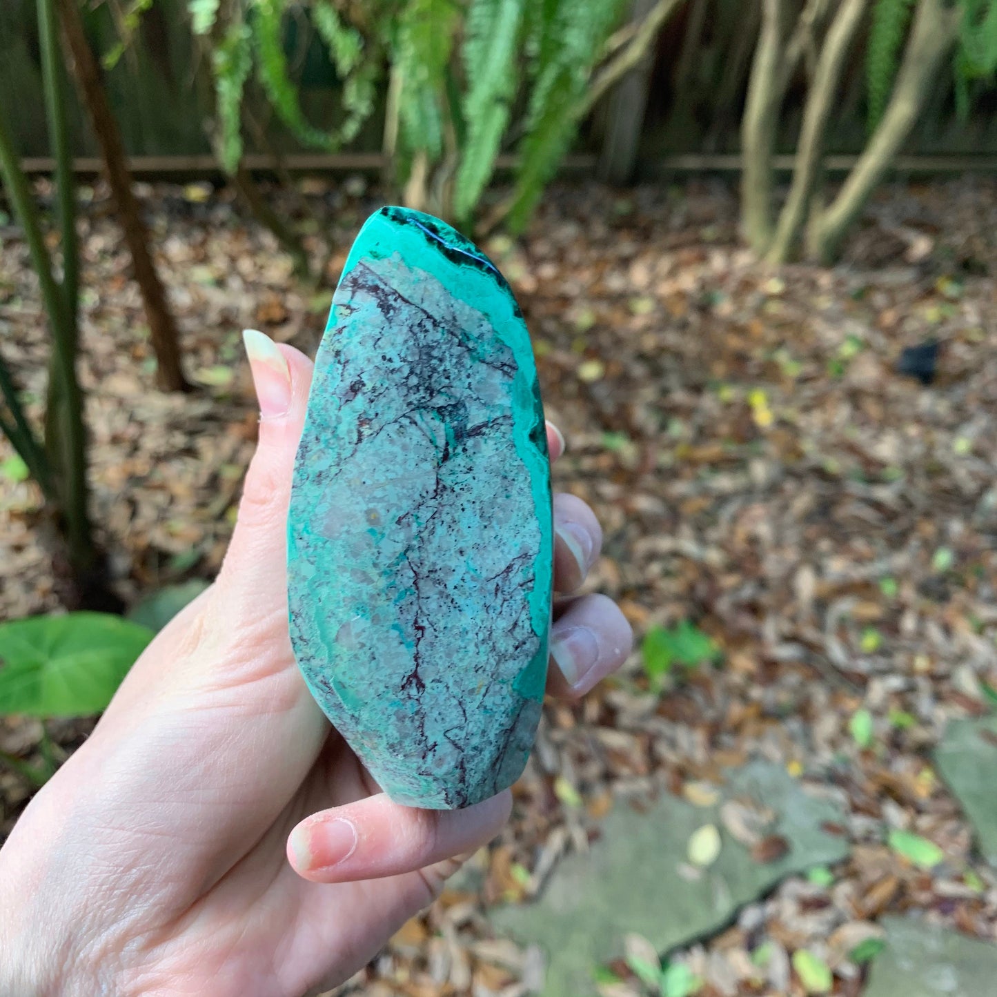 Polished Malachite 490g Specimen from Morenci Mine, Arizona