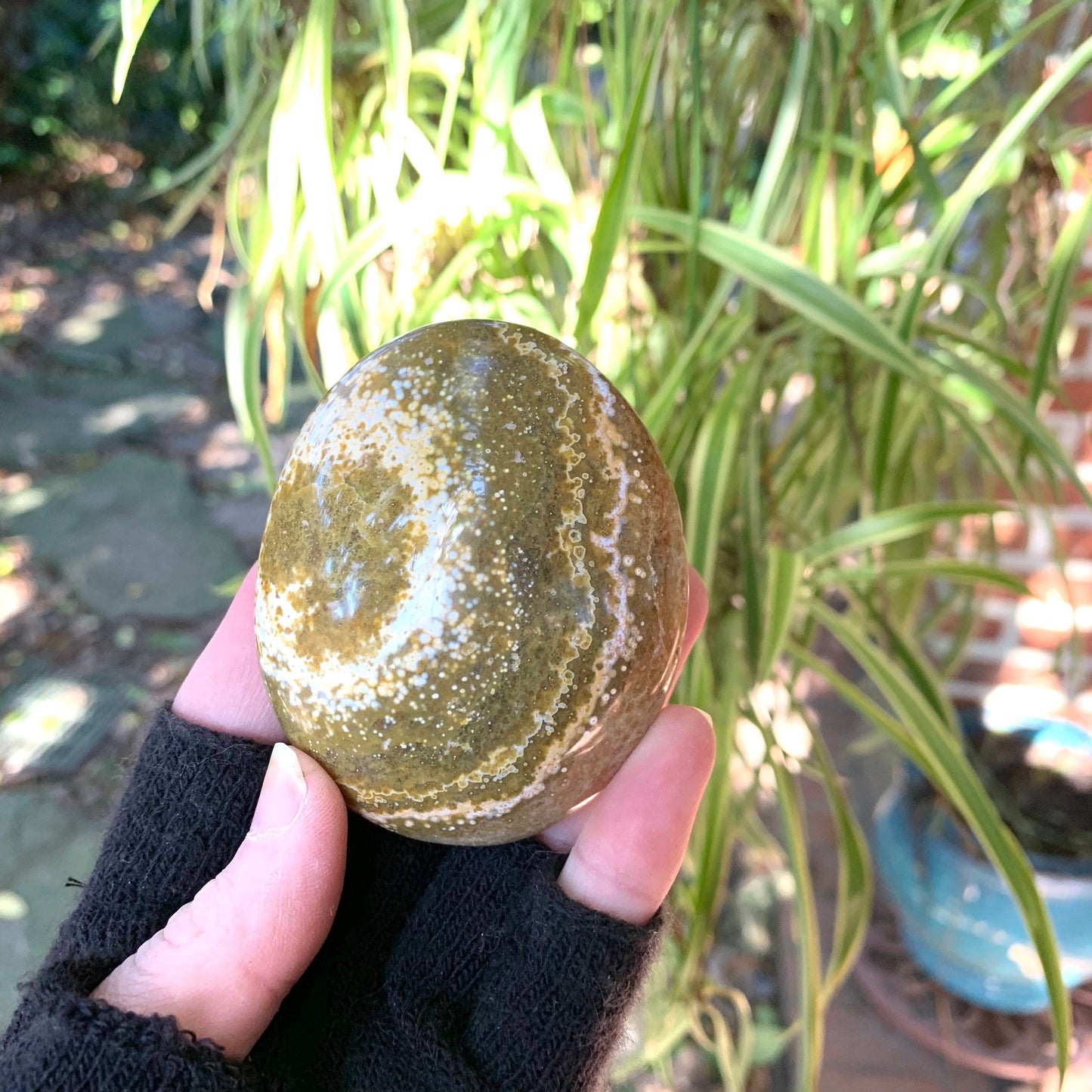 Ocean Jasper Palm Stone 148.6g  From Madagascar