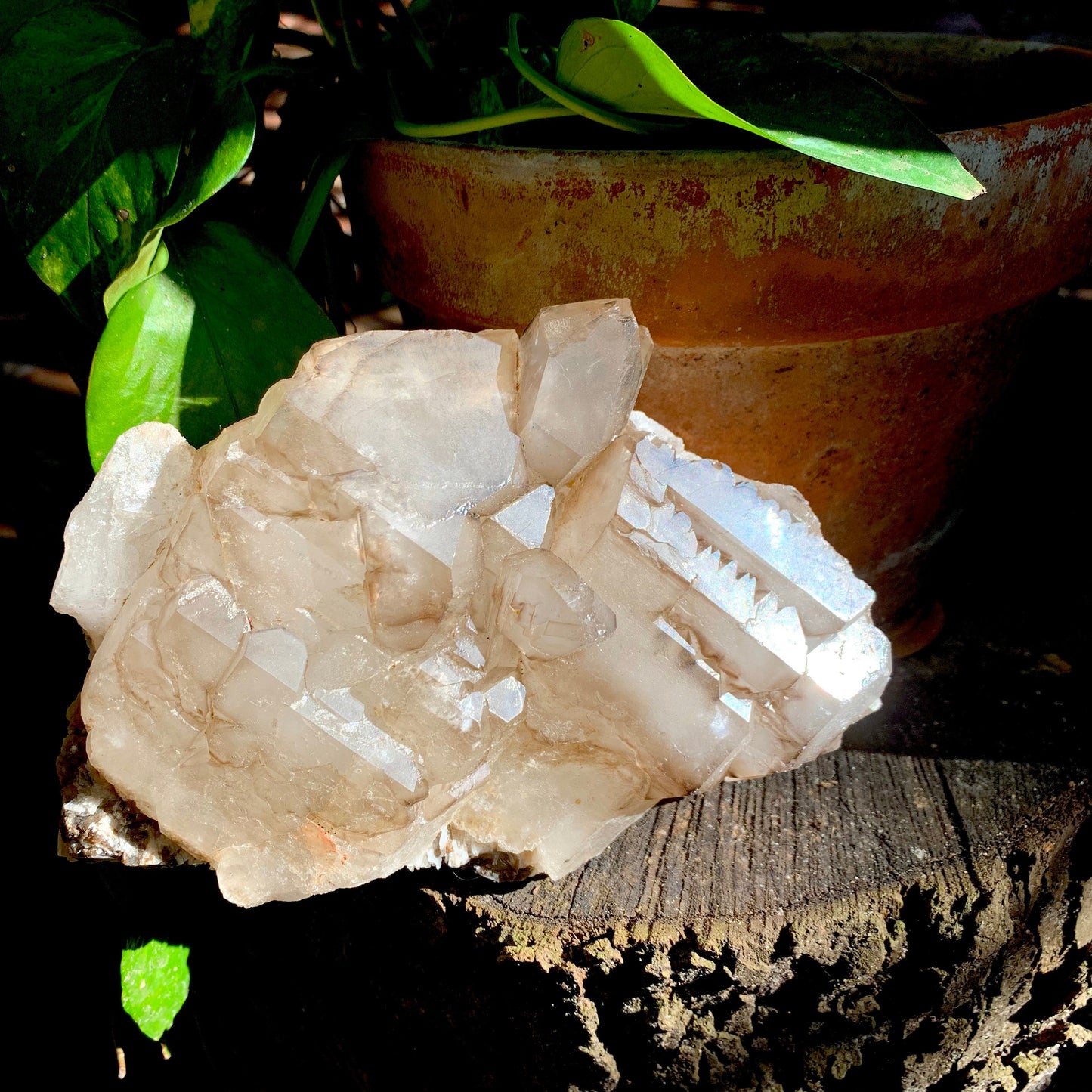 Smokey Elesital Quartz Specimen With Albite and Mica from Minas Gerais Brazil, 1820g 4lbs