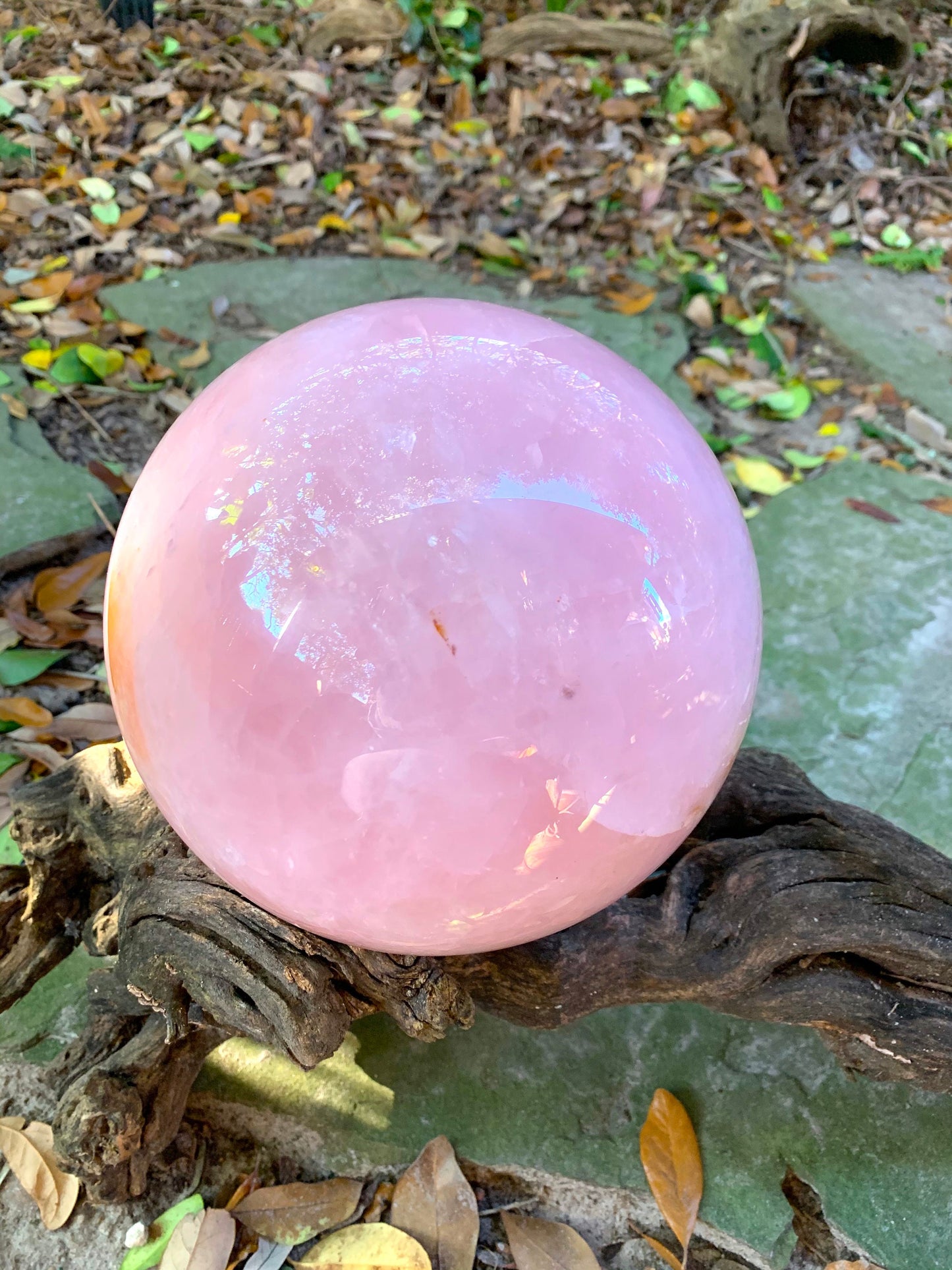 Very Large Polished Rose Quartz Sphere From Brazil 7" 178mm. 18lb 4.7oz 8.29kg with Wood Stand