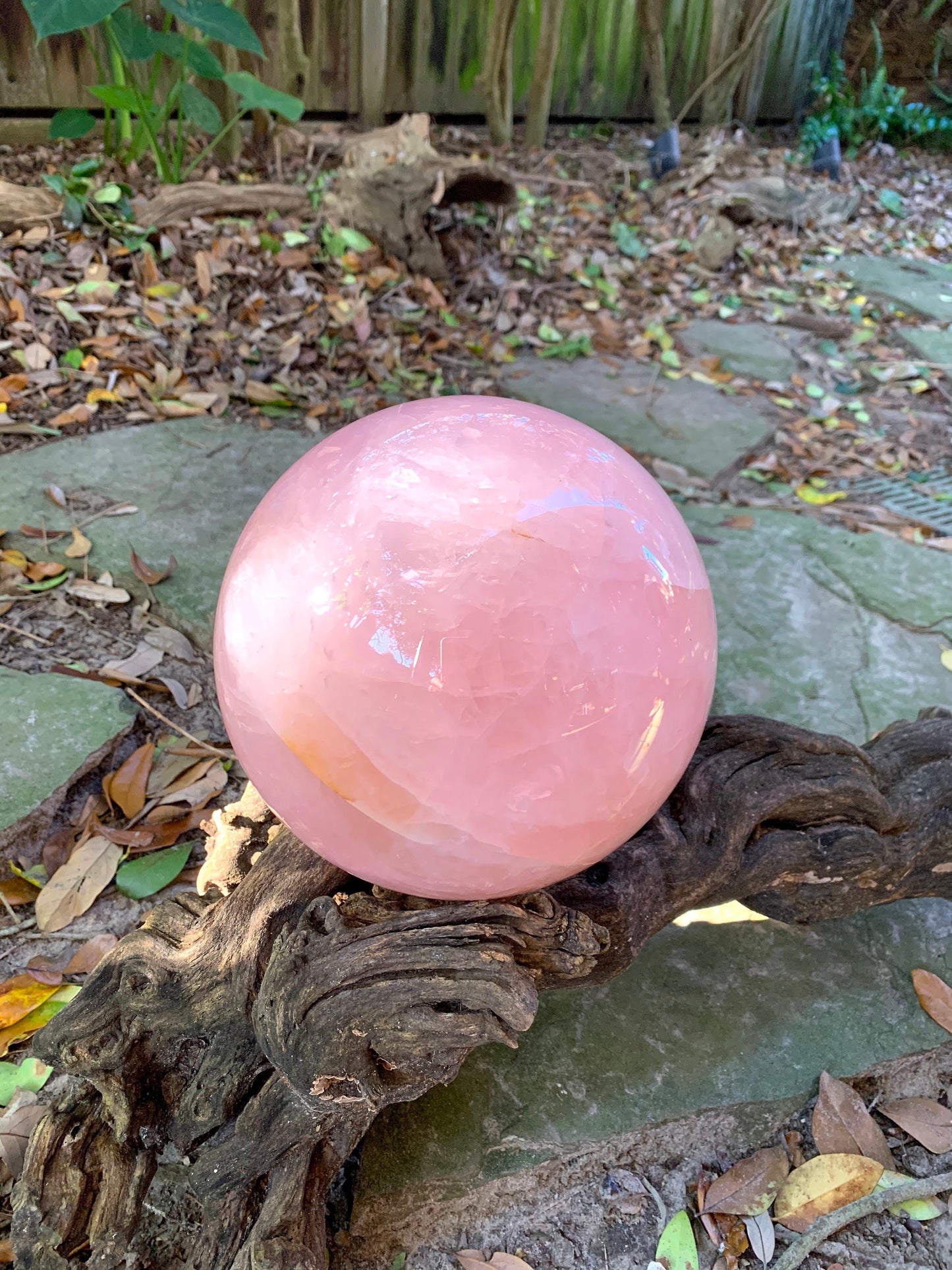 Very Large Polished Rose Quartz Sphere From Brazil 7" 178mm. 18lb 4.7oz 8.29kg with Wood Stand