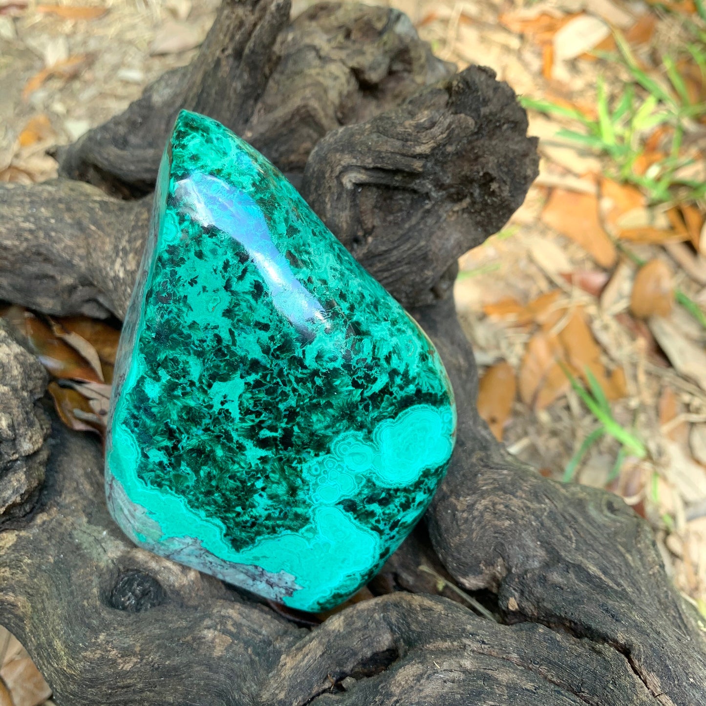 Polished Malachite 490g Specimen from Morenci Mine, Arizona