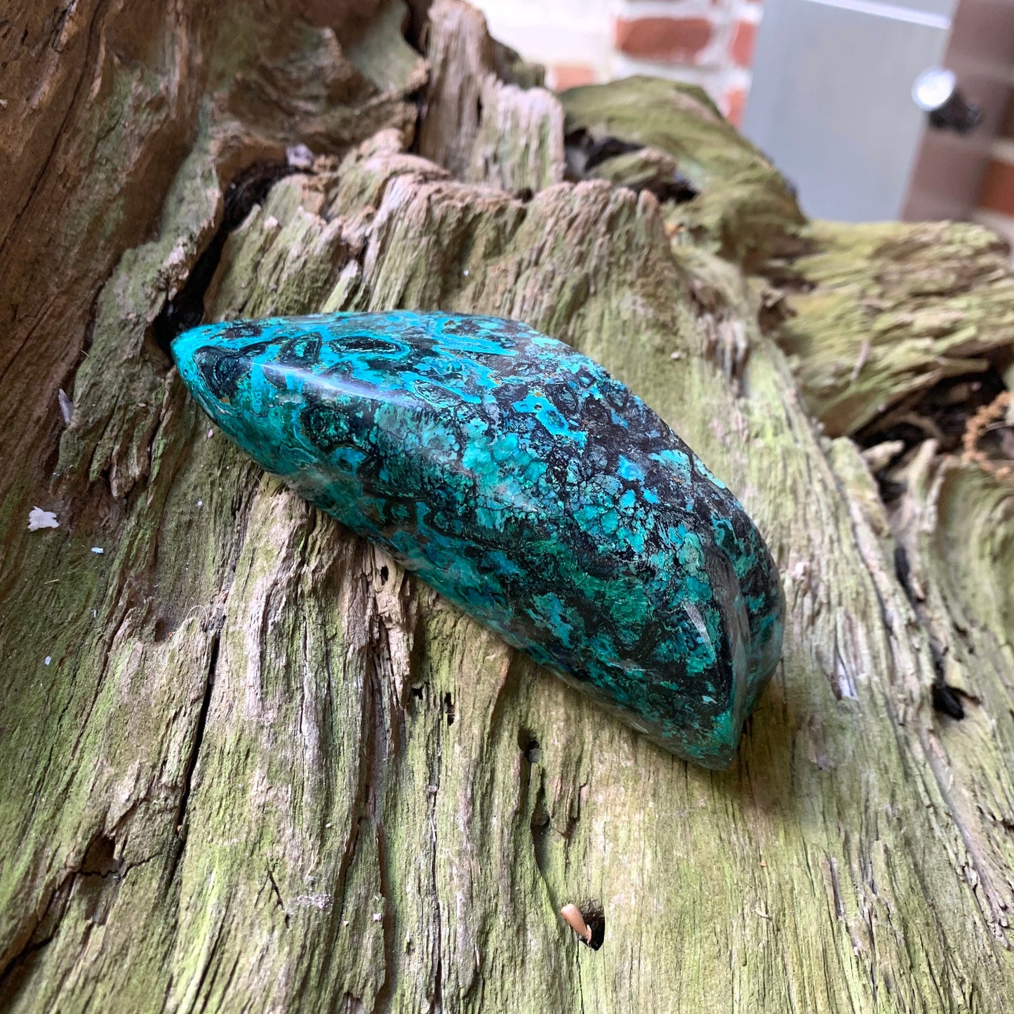 Polished Malachite and Chrysocolla 207.8g Specimen from Arizona