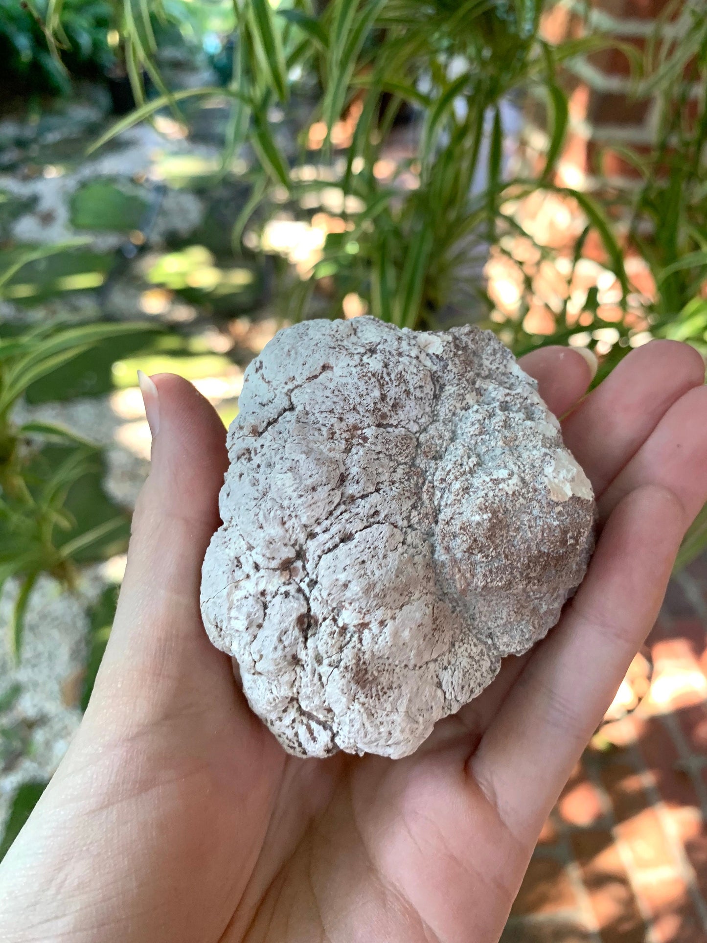 Beautiful Rare Pink Amethyst With Calcite Specimen Geode, From Patagonia 132.6g