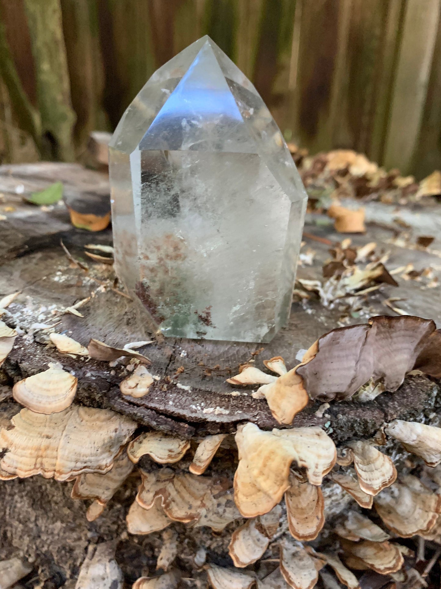 Polished Garden/Senic Quartz Point Specimen With Chlorite 245.3g