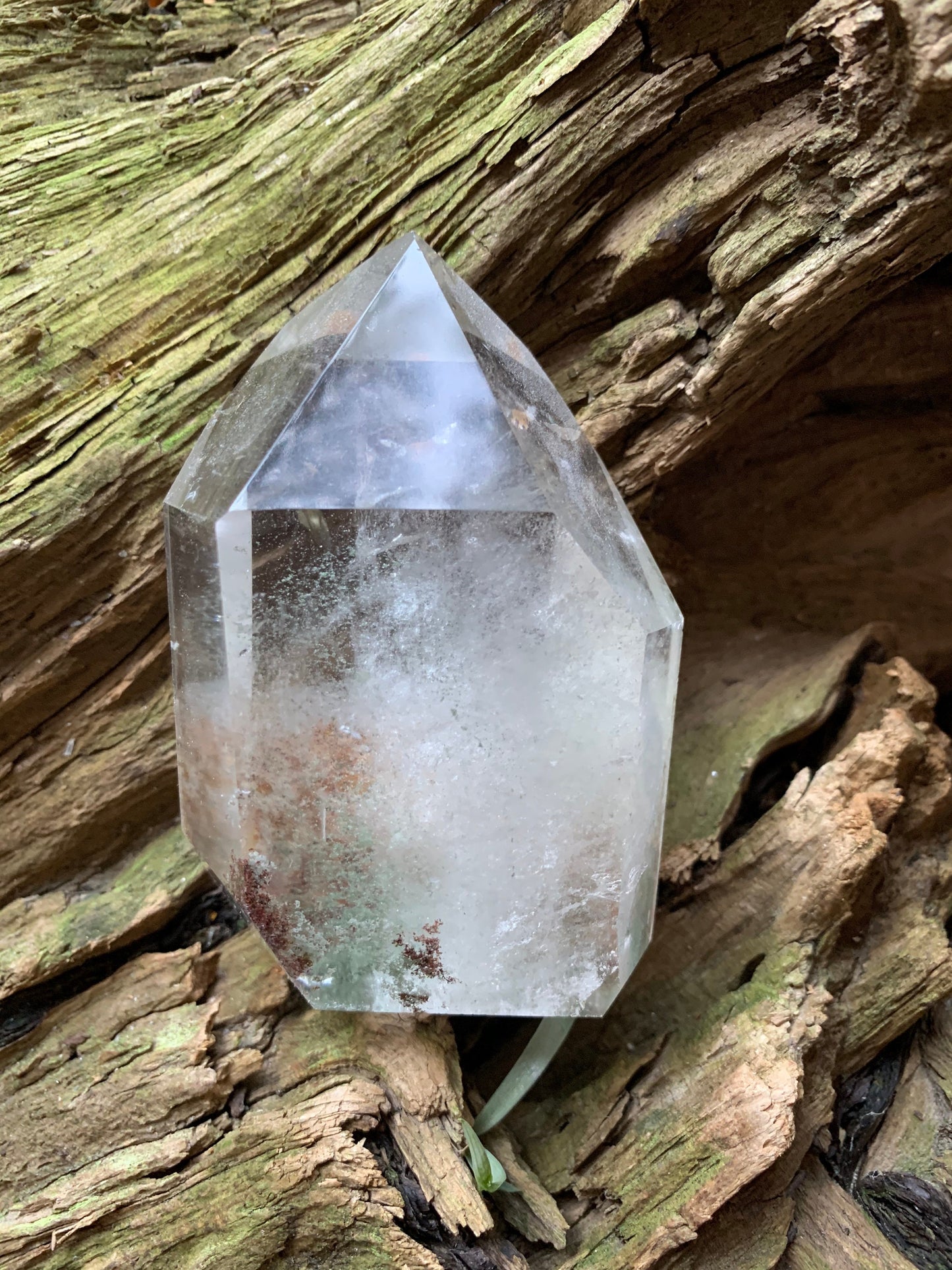 Polished Garden/Senic Quartz Point Specimen With Chlorite 245.3g