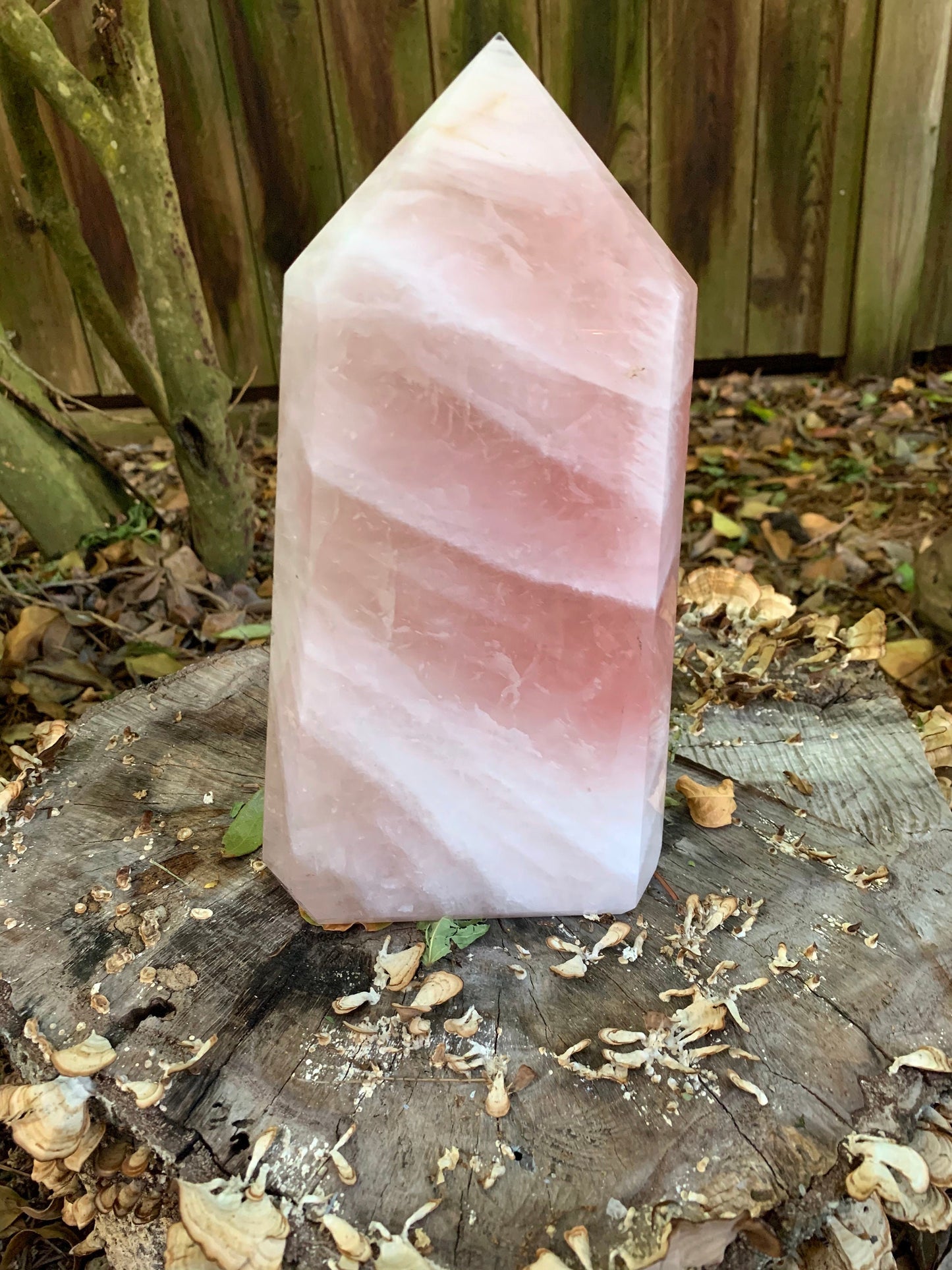 Polished Rose Quartz Tower, From Minas Gerais, Brazil, 2480g 5lbs 7.4oz Crystal, Specimen