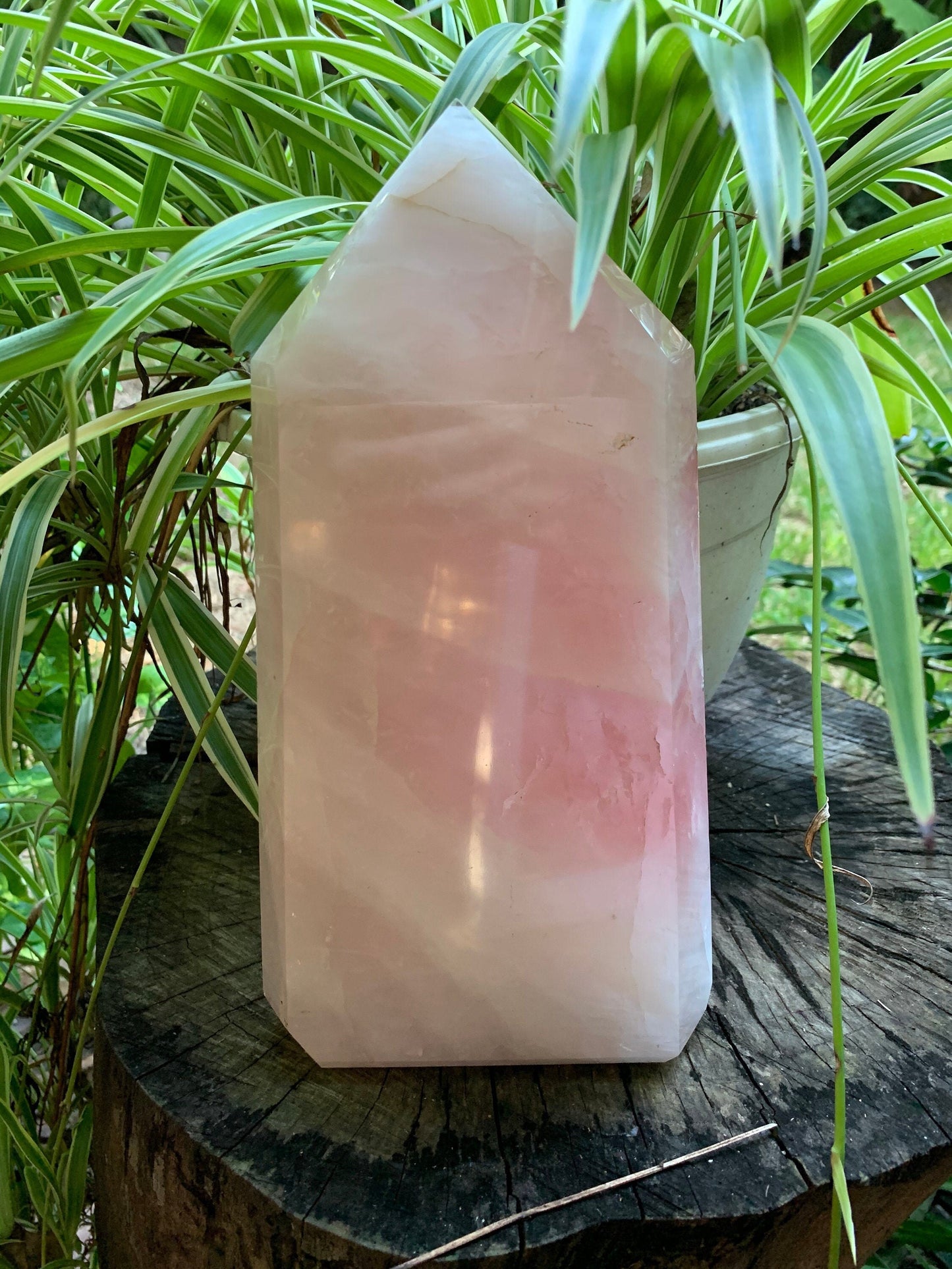 Polished Rose Quartz Tower, From Minas Gerais, Brazil, 2480g 5lbs 7.4oz Crystal, Specimen