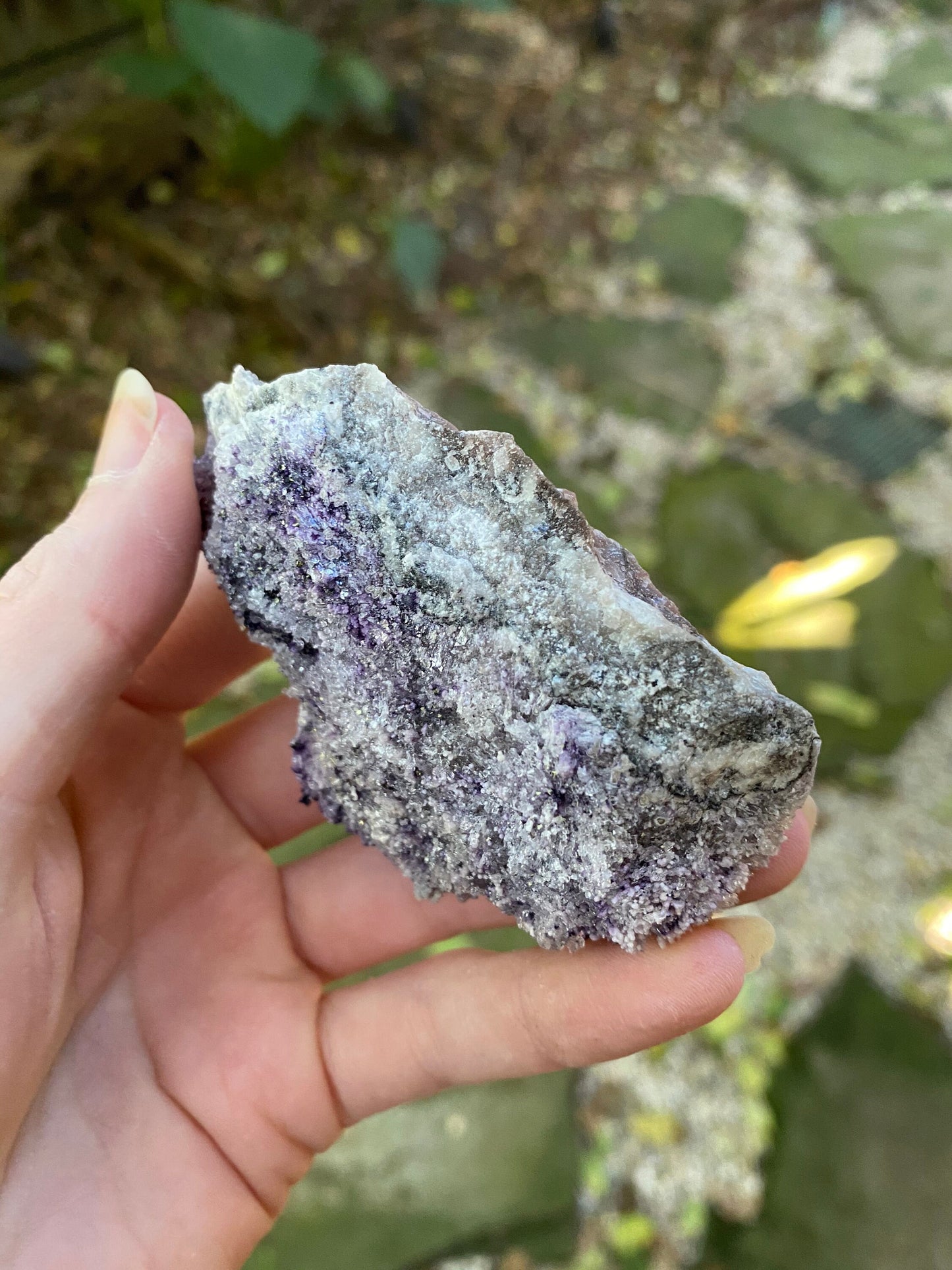 Purple Fluorite and Selenite Specimen from, Chihuahna, Mexico 100.6g Specimen