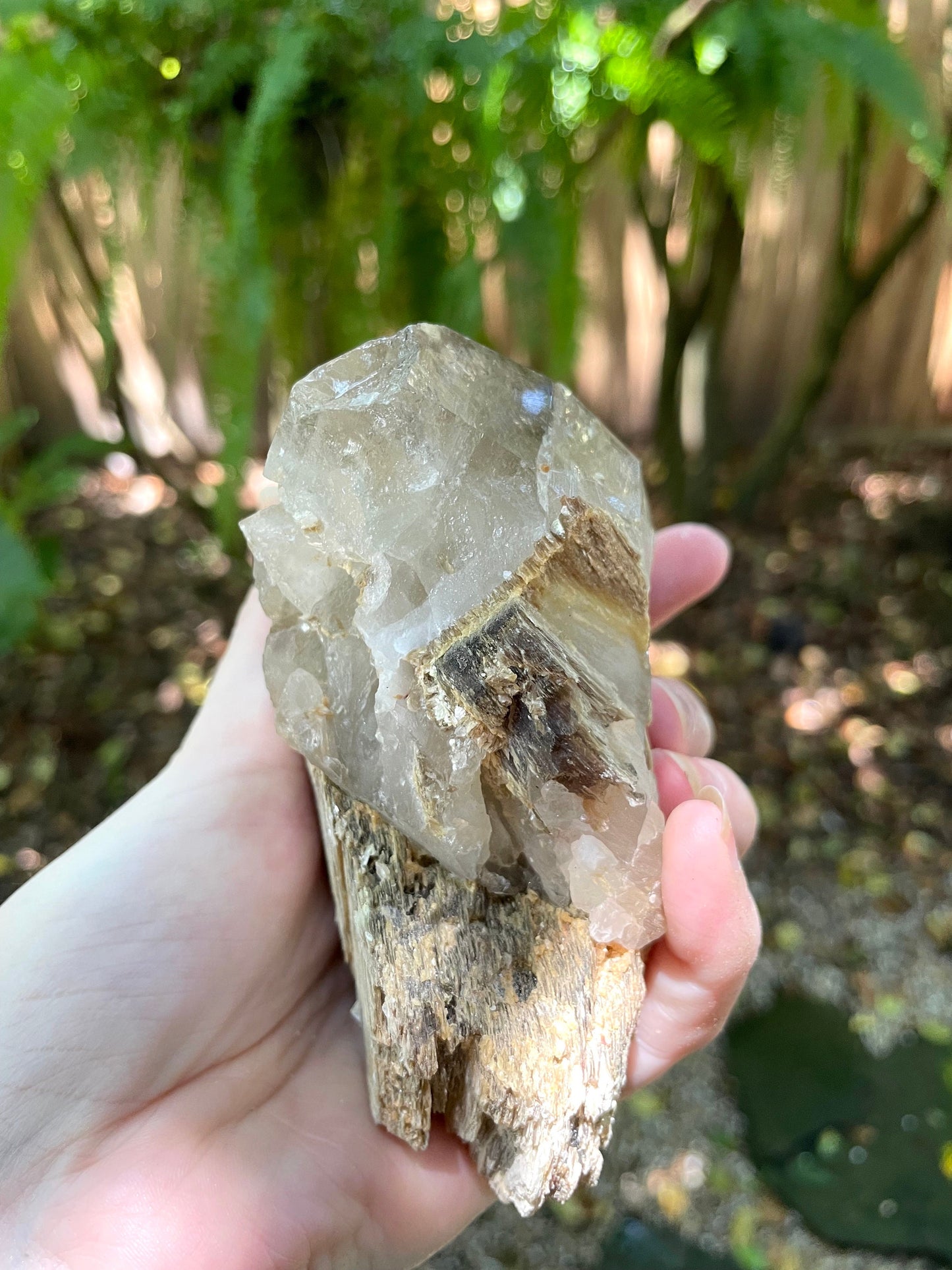 Mica with Quartz Specimen From Minas Gerais Brazil 510g 1lb 2oz Crystals