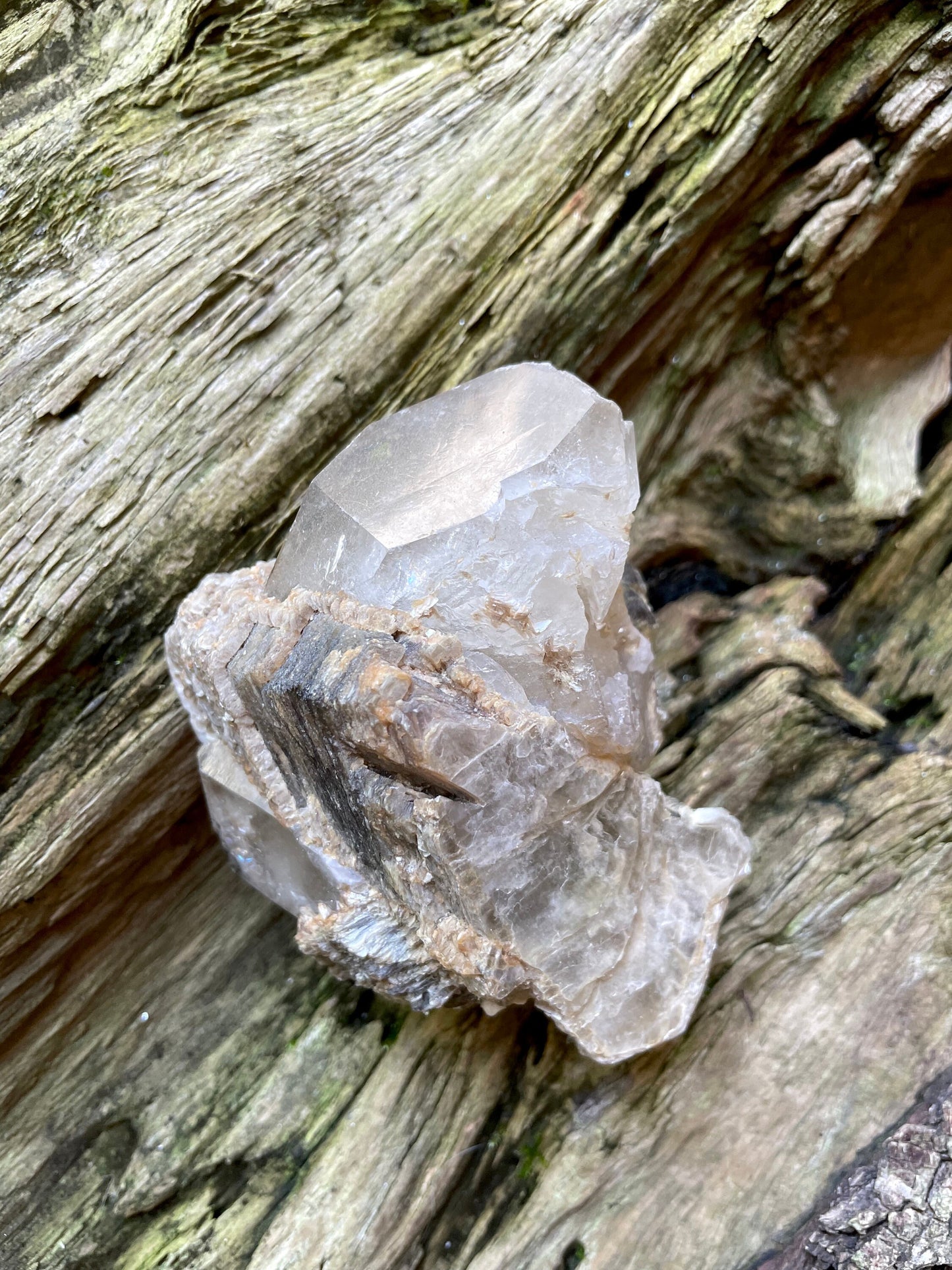 Mica with Quartz Specimen From Minas Gerais Brazil 510g 1lb 2oz Crystals