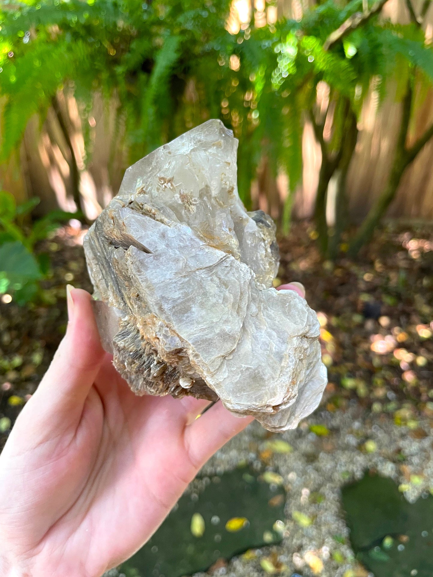 Mica with Quartz Specimen From Minas Gerais Brazil 510g 1lb 2oz Crystals