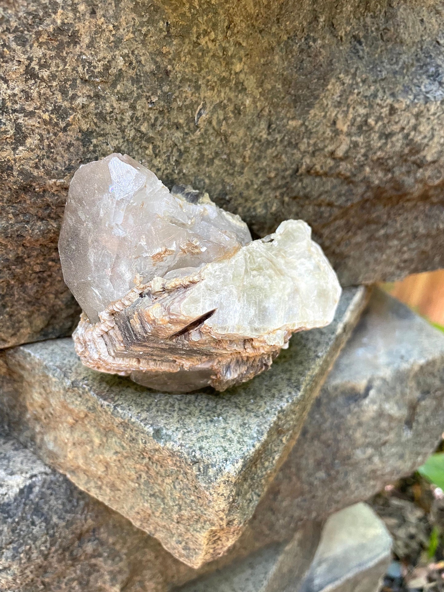 Mica with Quartz Specimen From Minas Gerais Brazil 510g 1lb 2oz Crystals