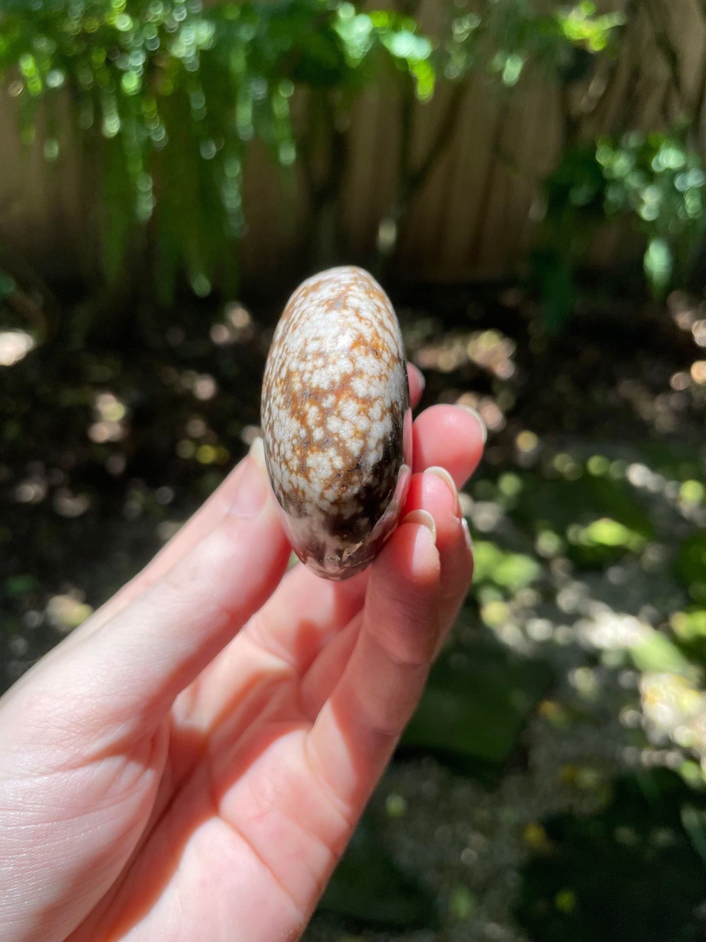 Ocean Jasper Palm Stone 95.2g  From Madagascar