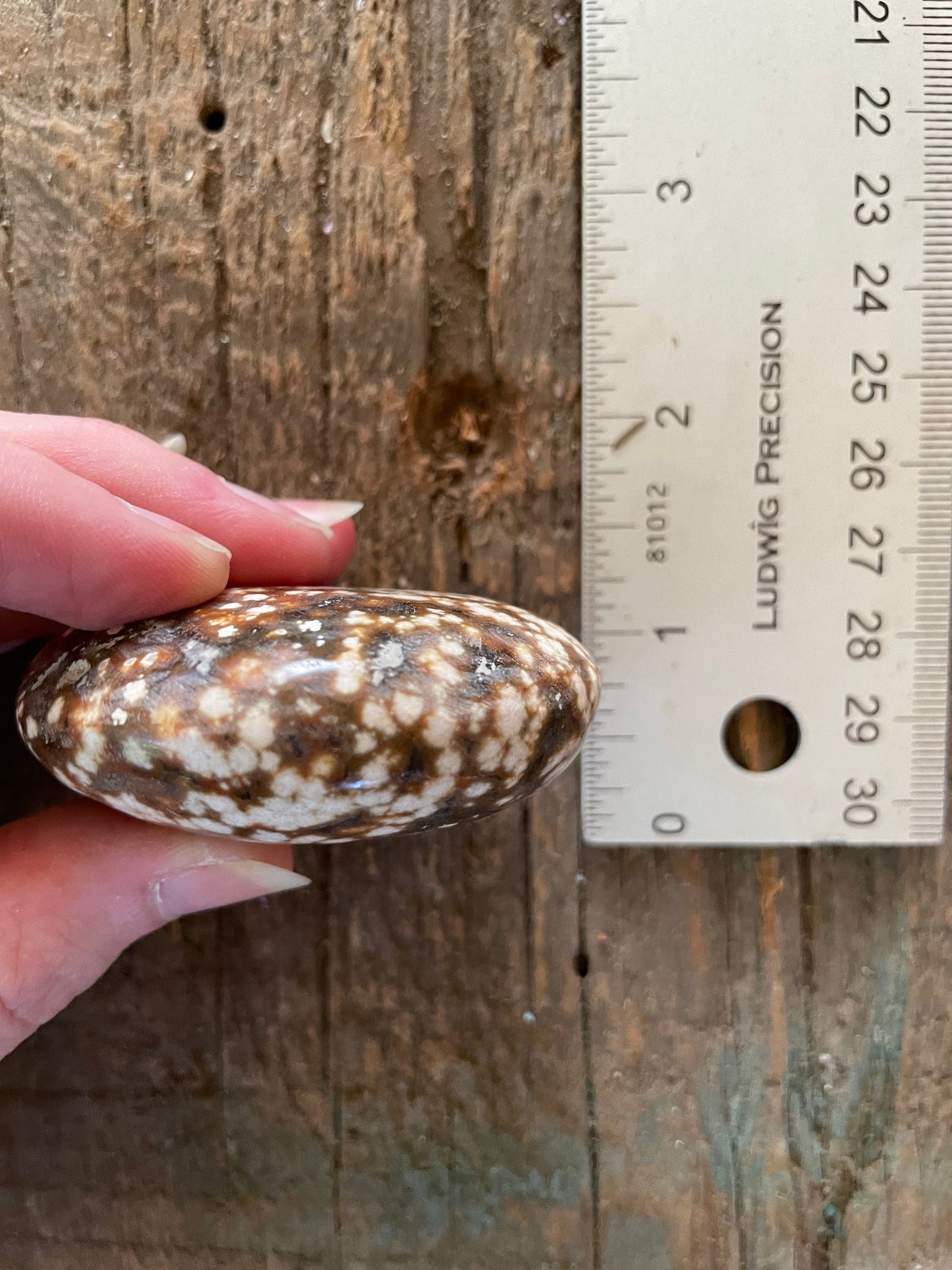 Ocean Jasper Palm Stone 95.2g  From Madagascar