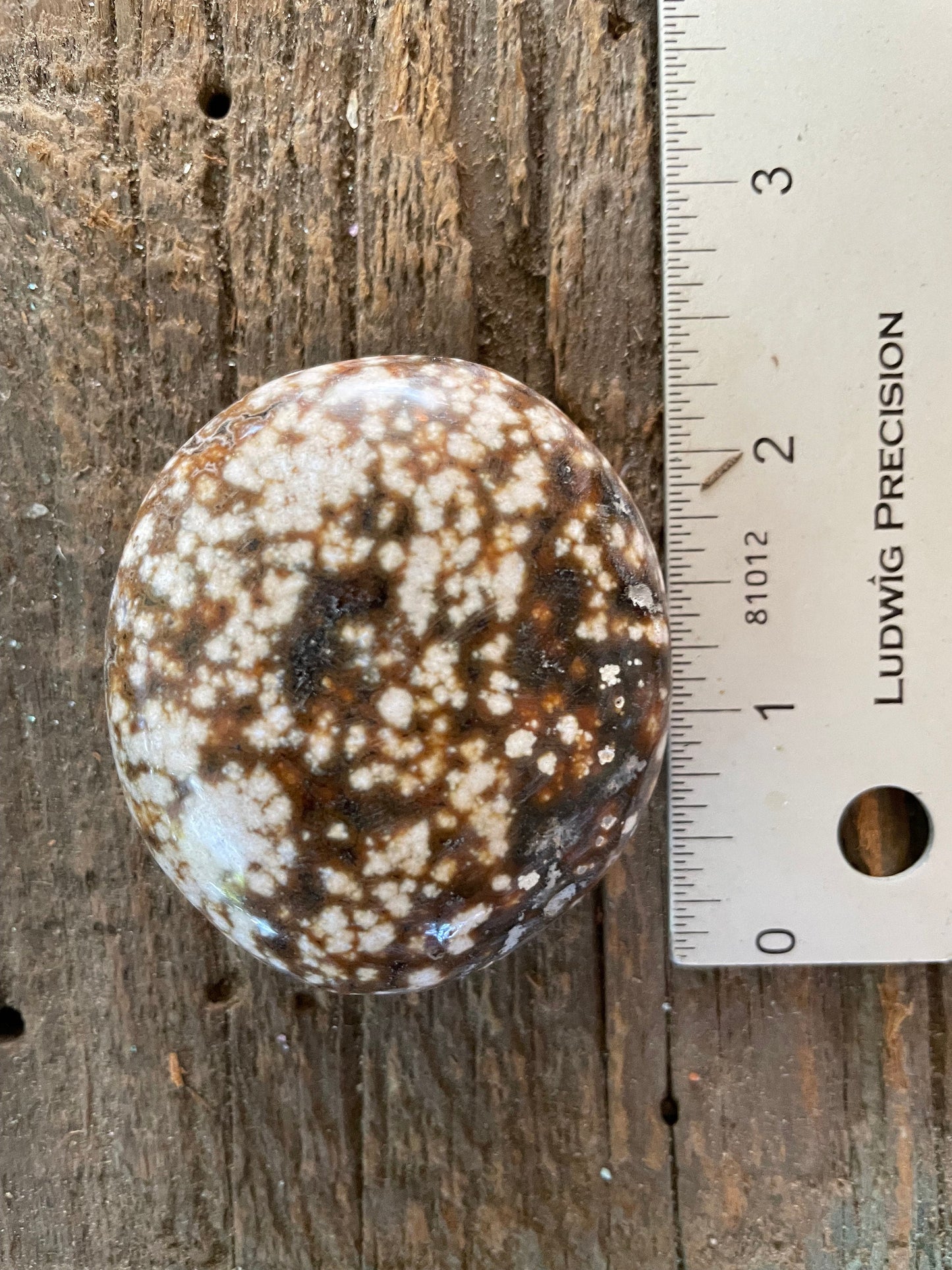 Ocean Jasper Palm Stone 95.2g  From Madagascar