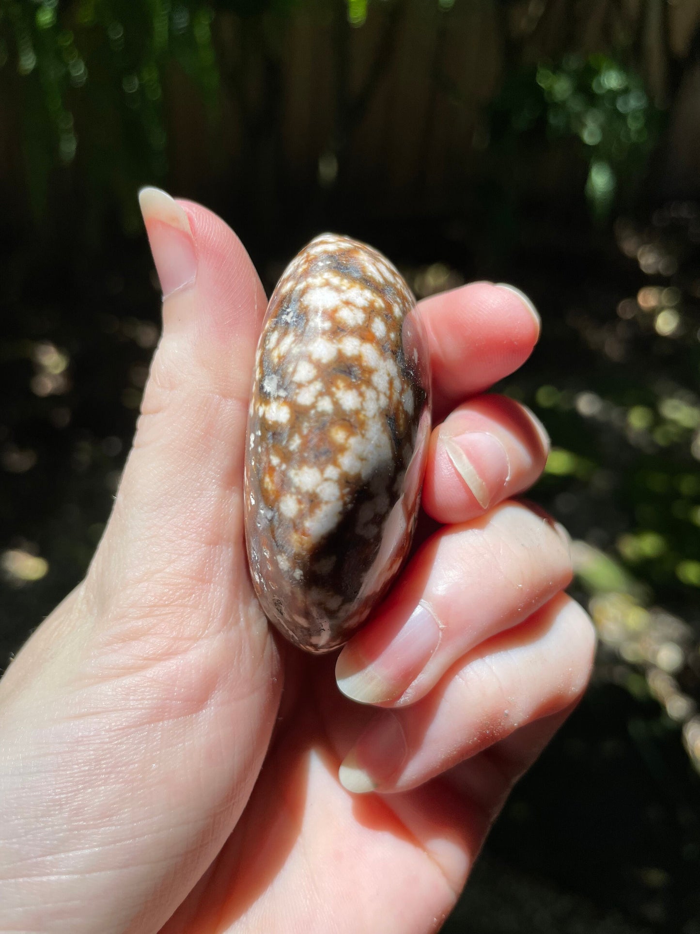 Ocean Jasper Palm Stone 95.2g  From Madagascar