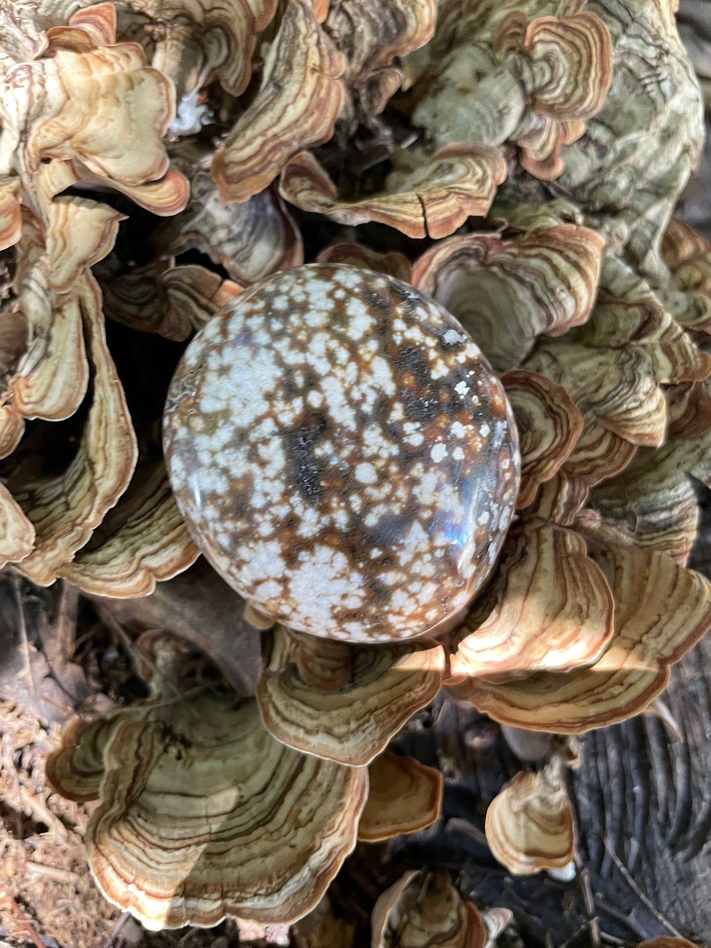 Ocean Jasper Palm Stone 95.2g  From Madagascar