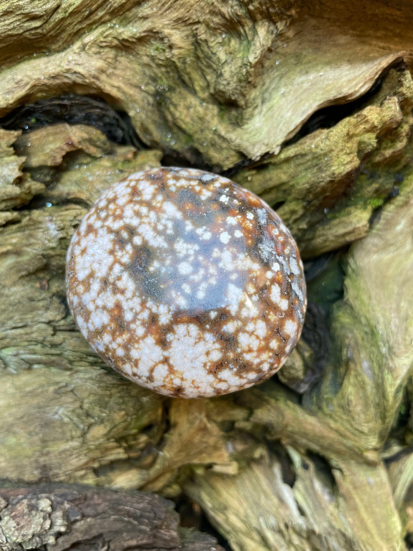 Ocean Jasper Palm Stone 95.2g  From Madagascar