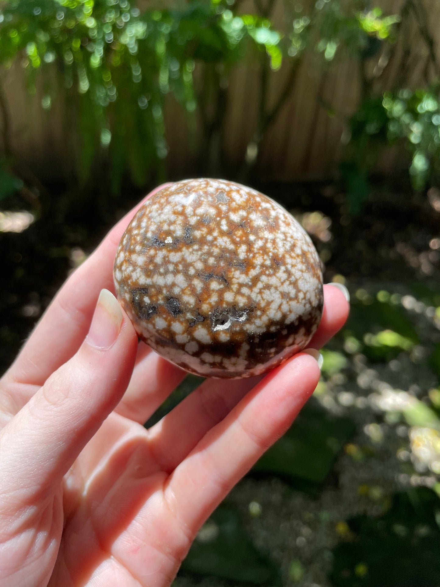 Ocean Jasper Palm Stone 95.2g  From Madagascar