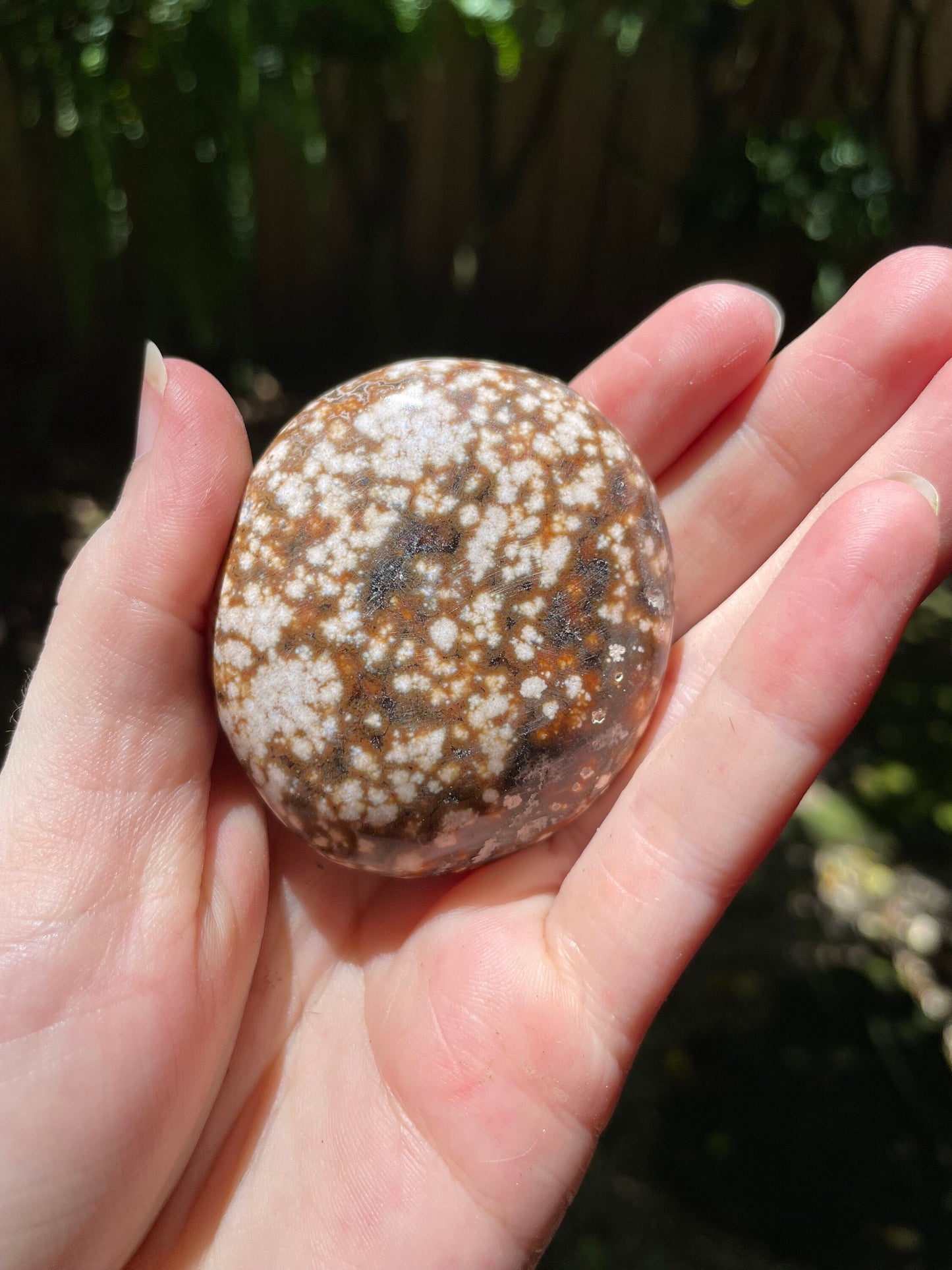 Ocean Jasper Palm Stone 95.2g  From Madagascar