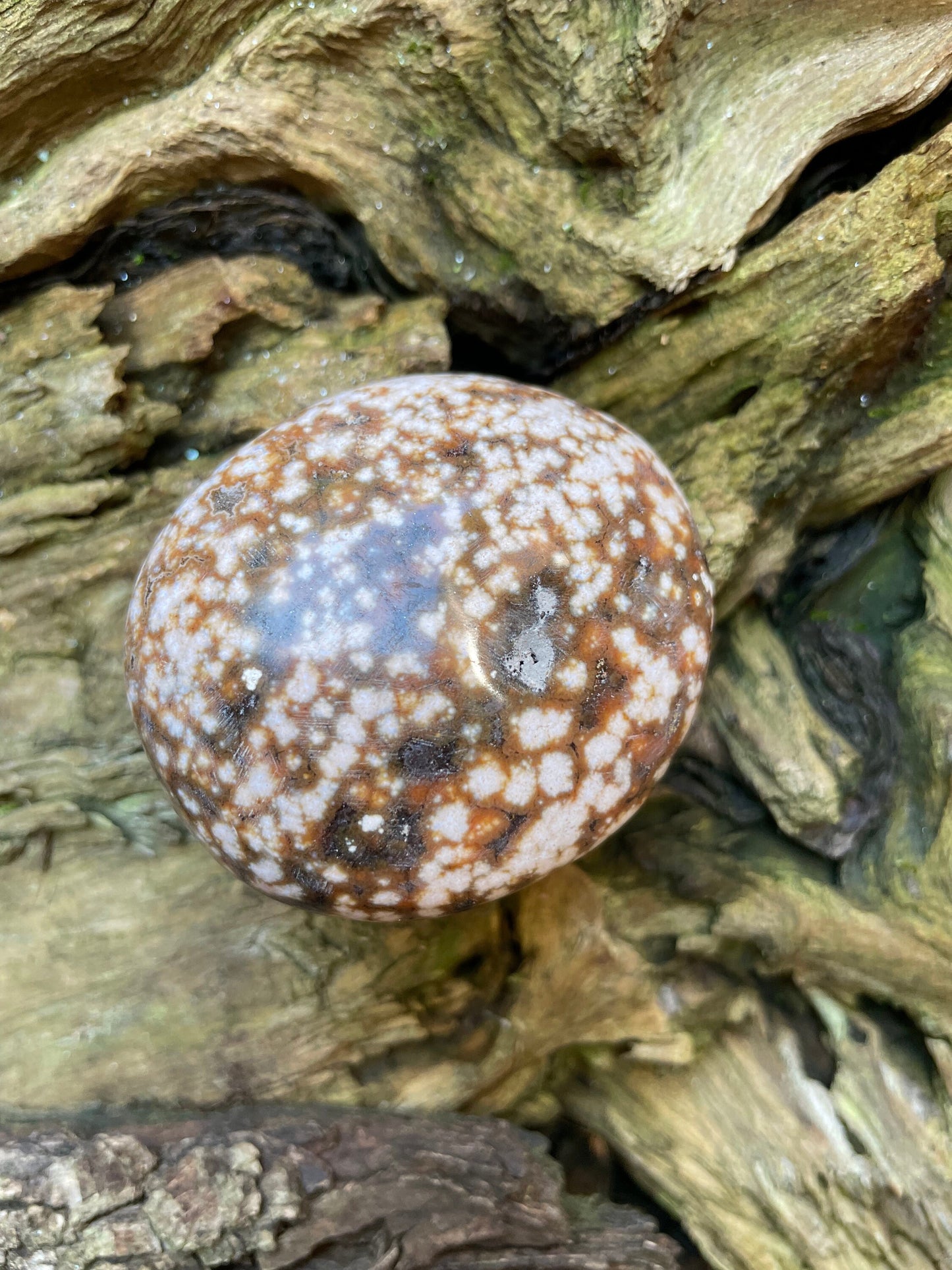 Ocean Jasper Palm Stone 95.2g  From Madagascar