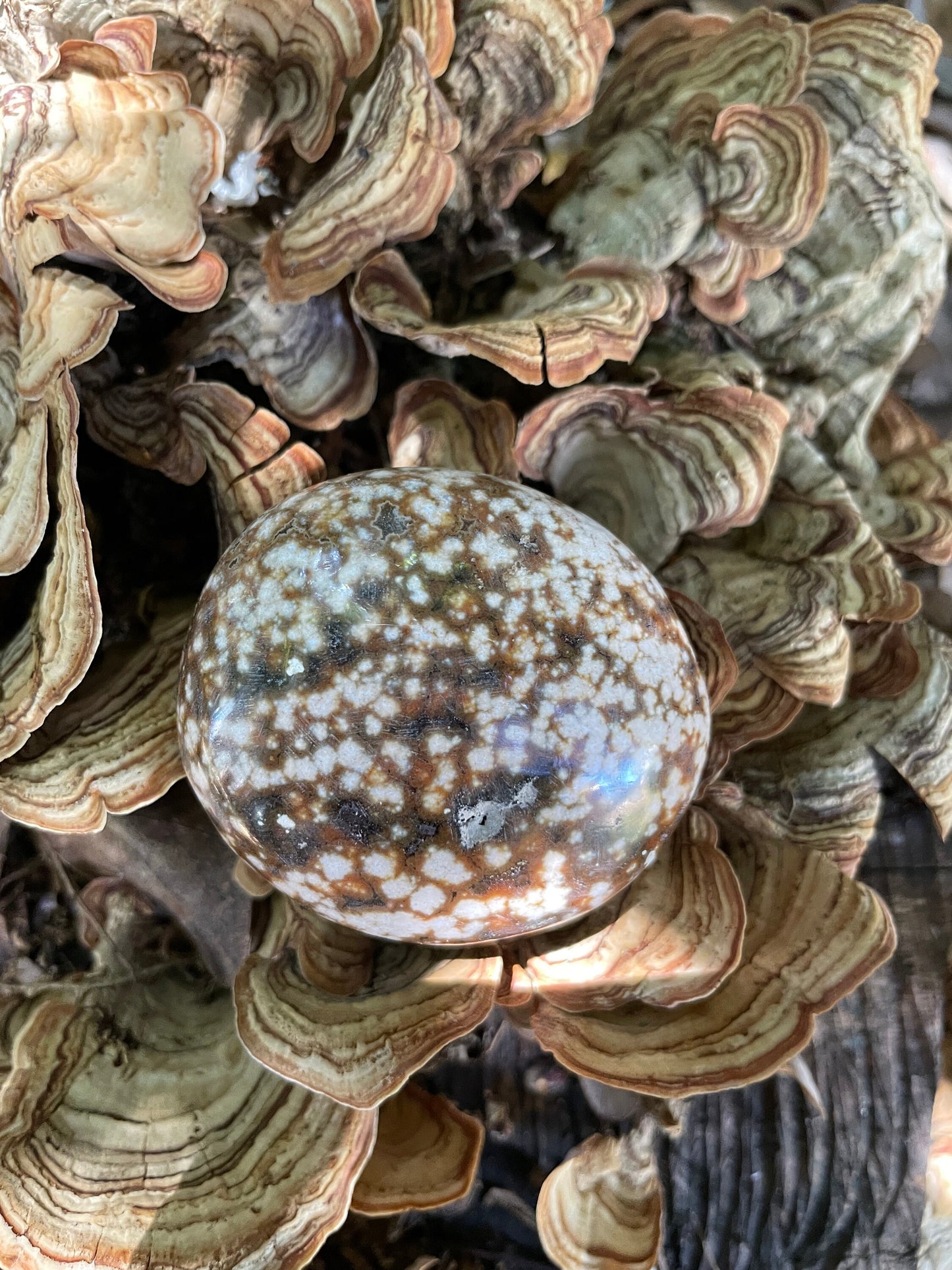 Ocean Jasper Palm Stone 95.2g  From Madagascar