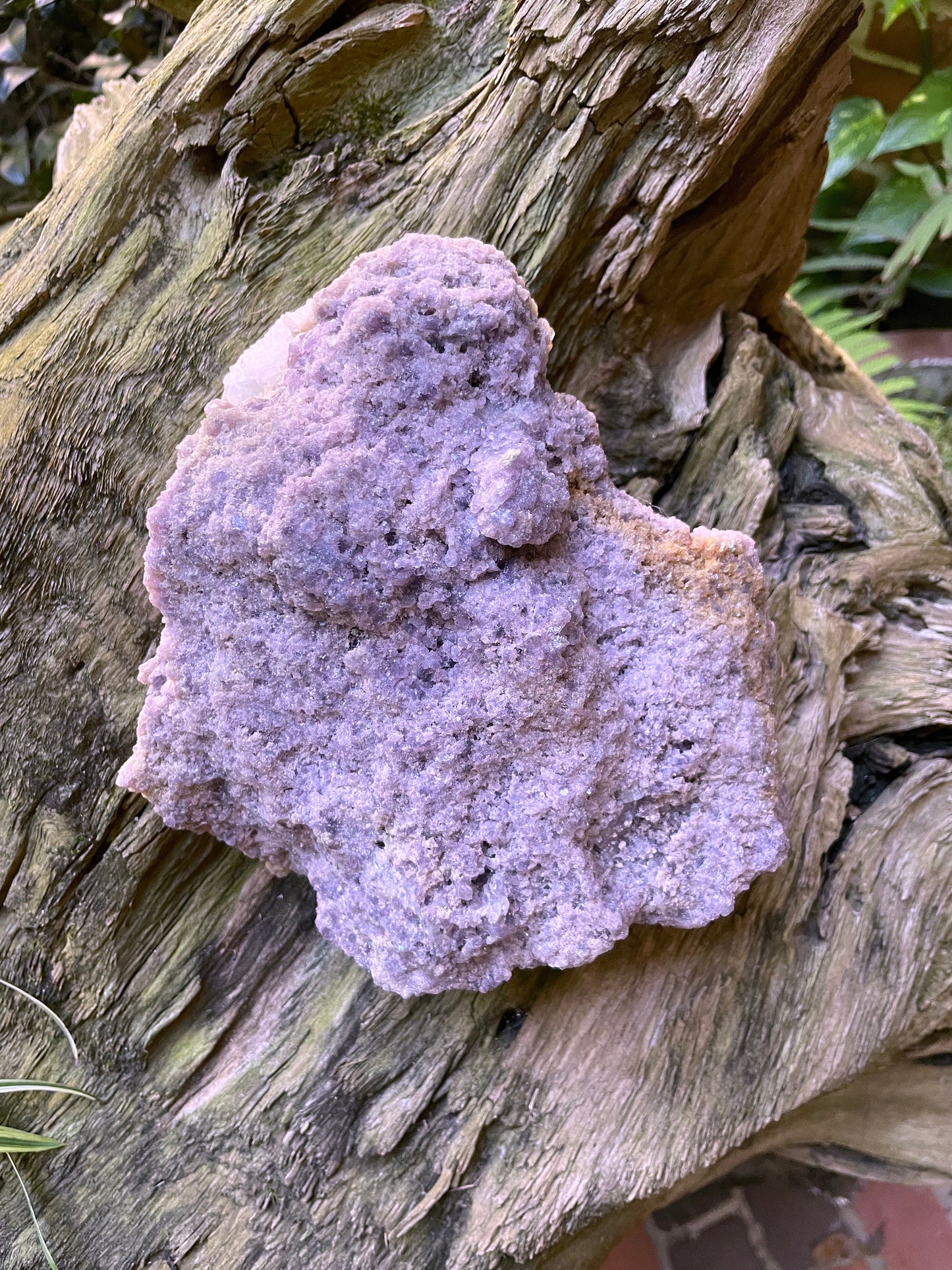 Large Beautiful Purple Raw Lepidolite Specimen From Minas Gerais Brazil 2596g 5lb 11.6oz