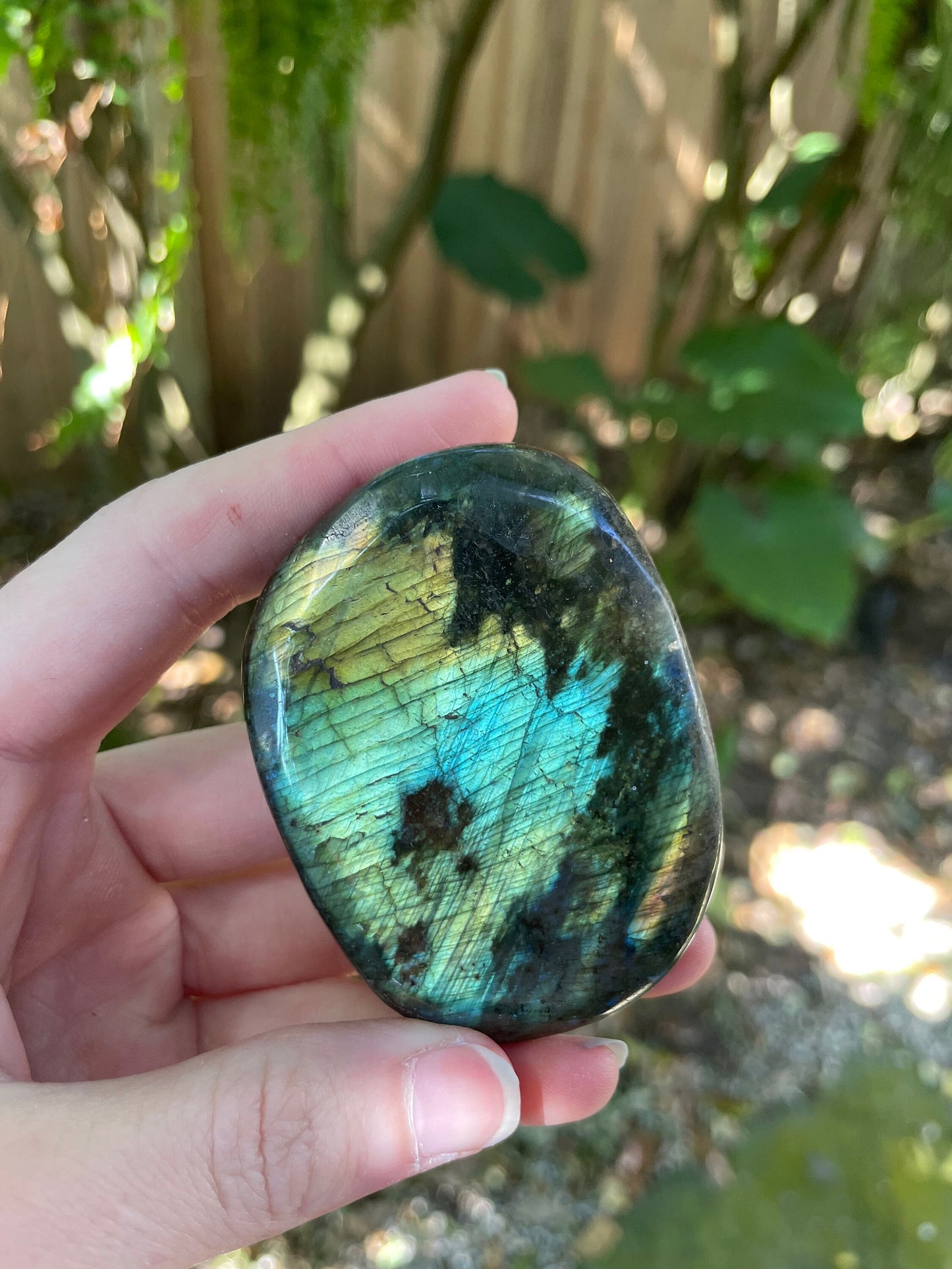 Polished Labradorite Palm Stone Specimen 126.9g Great Flash