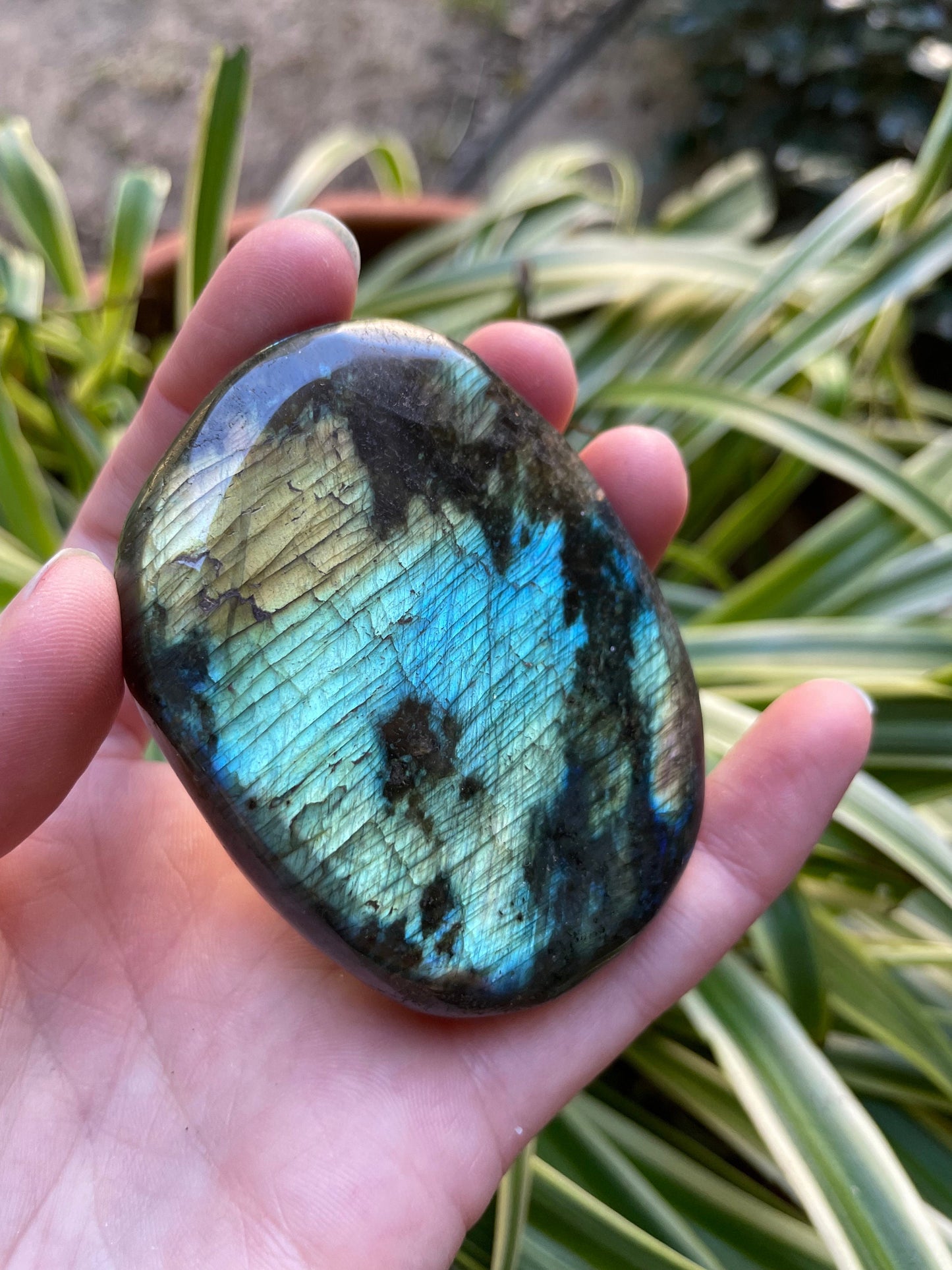 Polished Labradorite Palm Stone Specimen 126.9g Great Flash