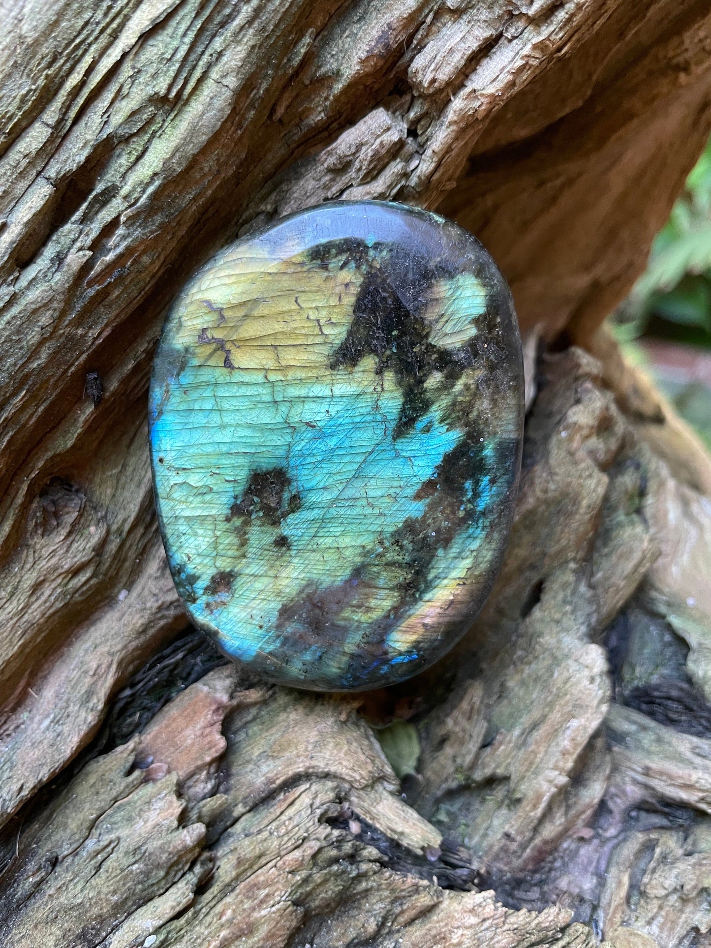 Polished Labradorite Palm Stone Specimen 126.9g Great Flash