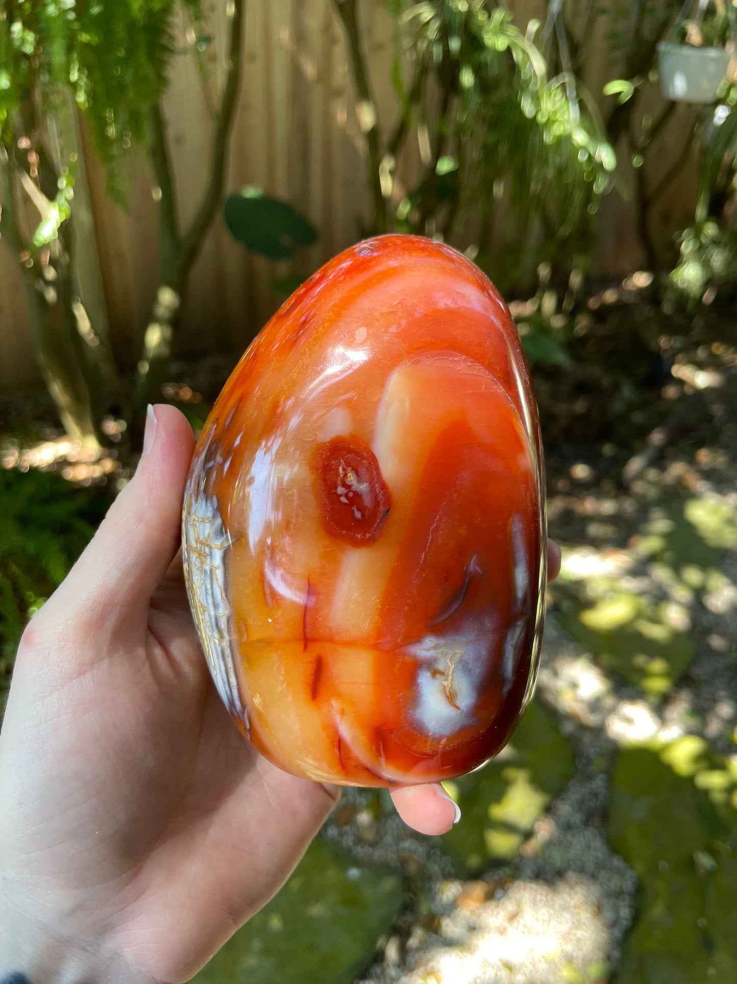 Carnelian Free Form Specimen 958g 2lbs 1.8oz From Madagascar Specimen Crystal