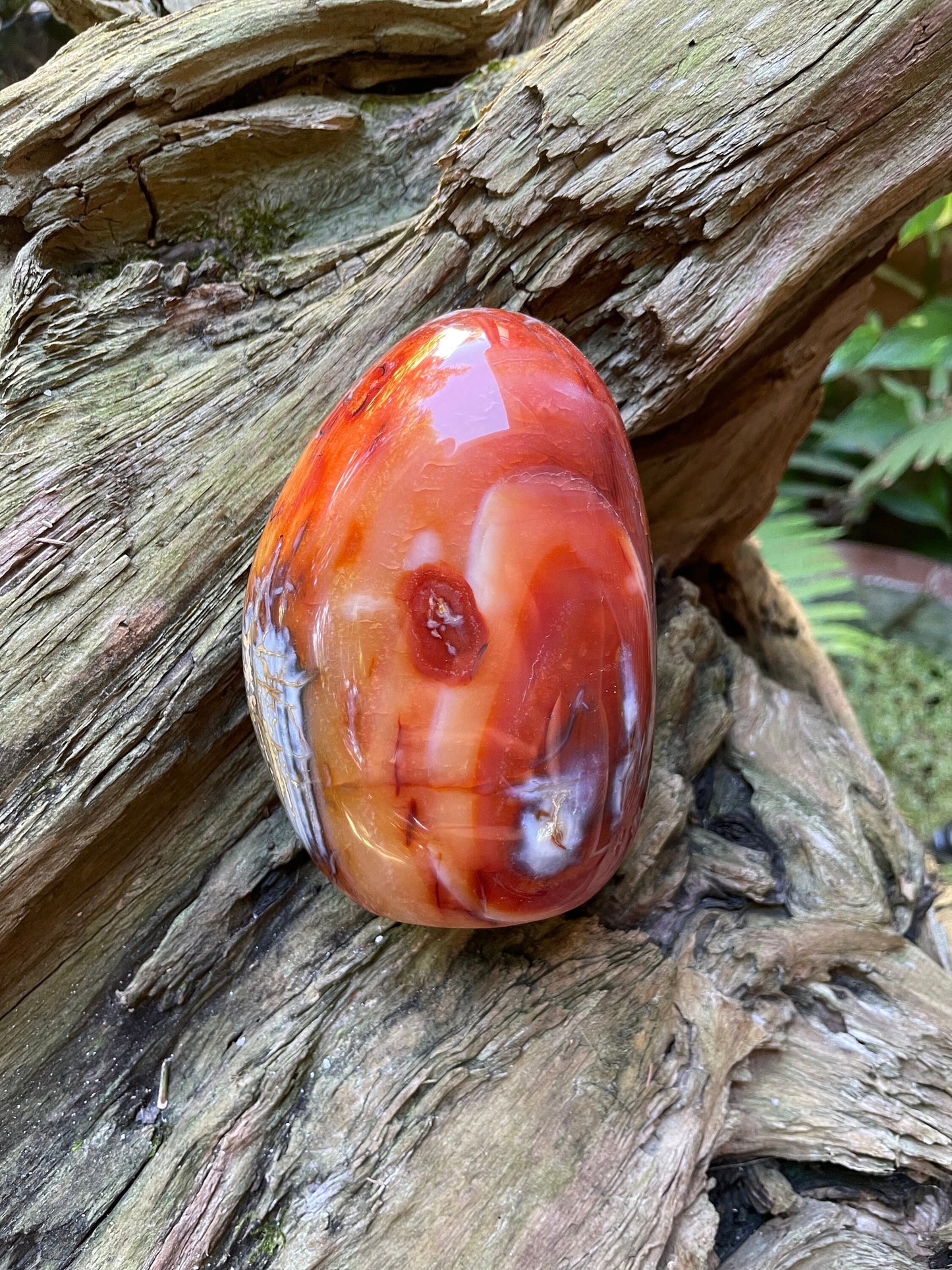 Carnelian Free Form Specimen 958g 2lbs 1.8oz From Madagascar Specimen Crystal