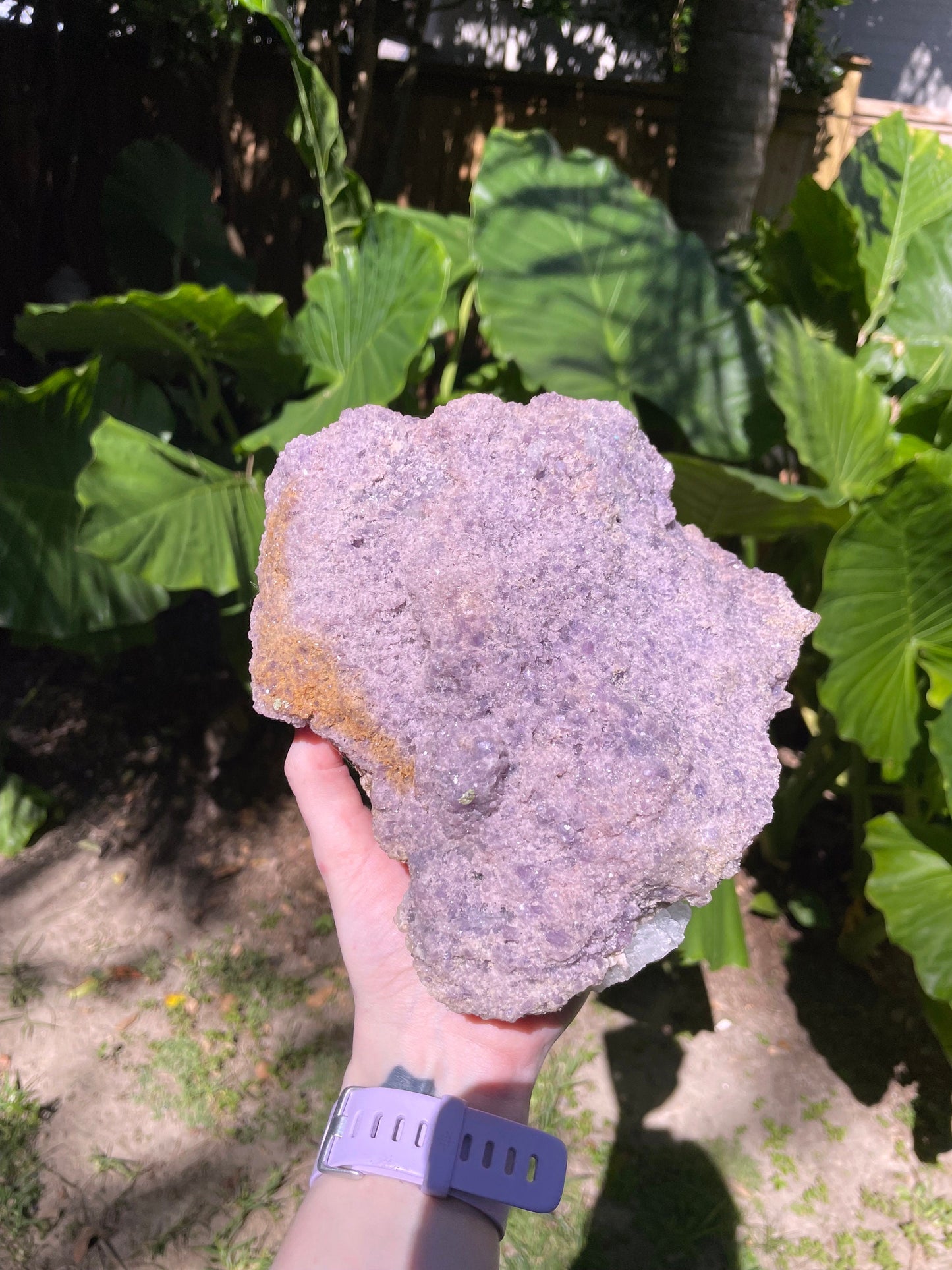 Large Beautiful Purple Raw Lepidolite Specimen From Minas Gerais Brazil 2596g 5lb 11.6oz