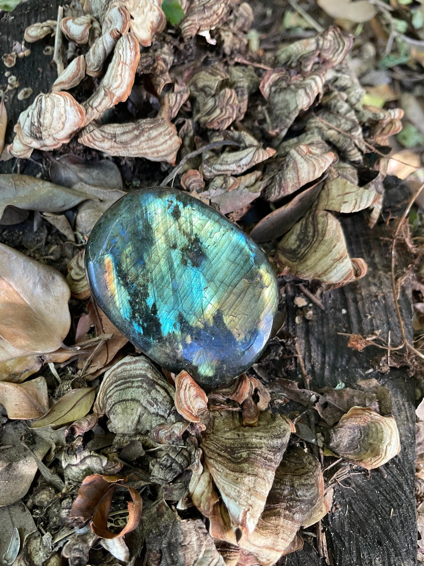 Polished Labradorite Palm Stone Specimen 126.9g Great Flash