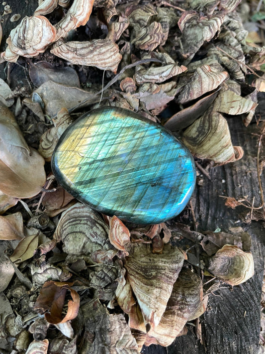 Polished Labradorite Palm Stone Specimen 126.9g Great Flash