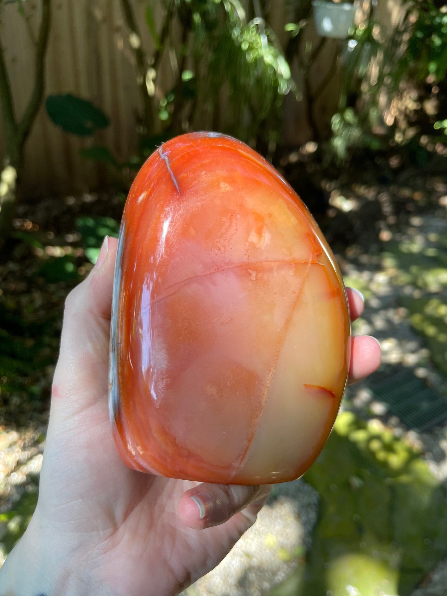 Carnelian Free Form Specimen 958g 2lbs 1.8oz From Madagascar Specimen Crystal