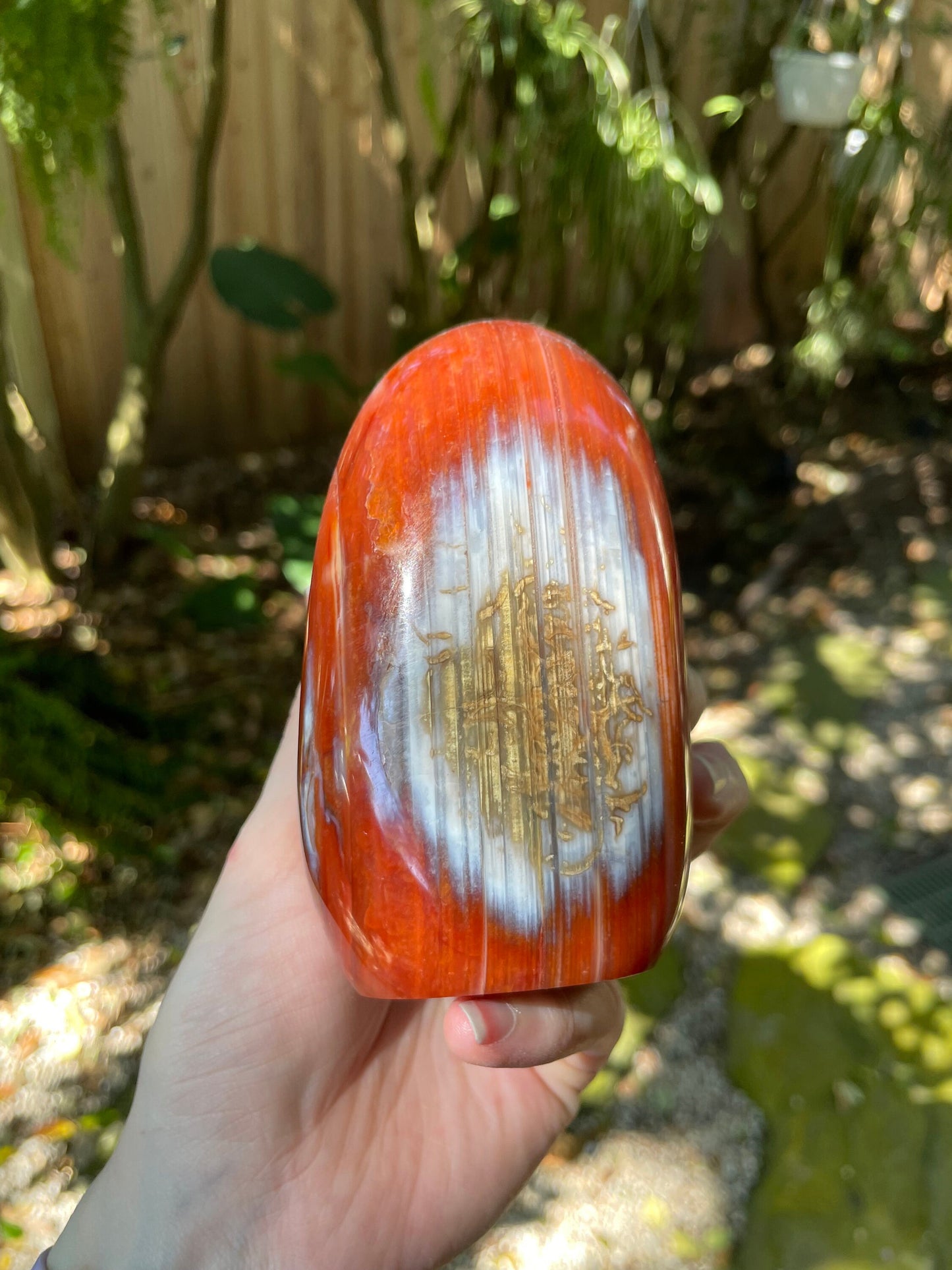 Carnelian Free Form Specimen 958g 2lbs 1.8oz From Madagascar Specimen Crystal