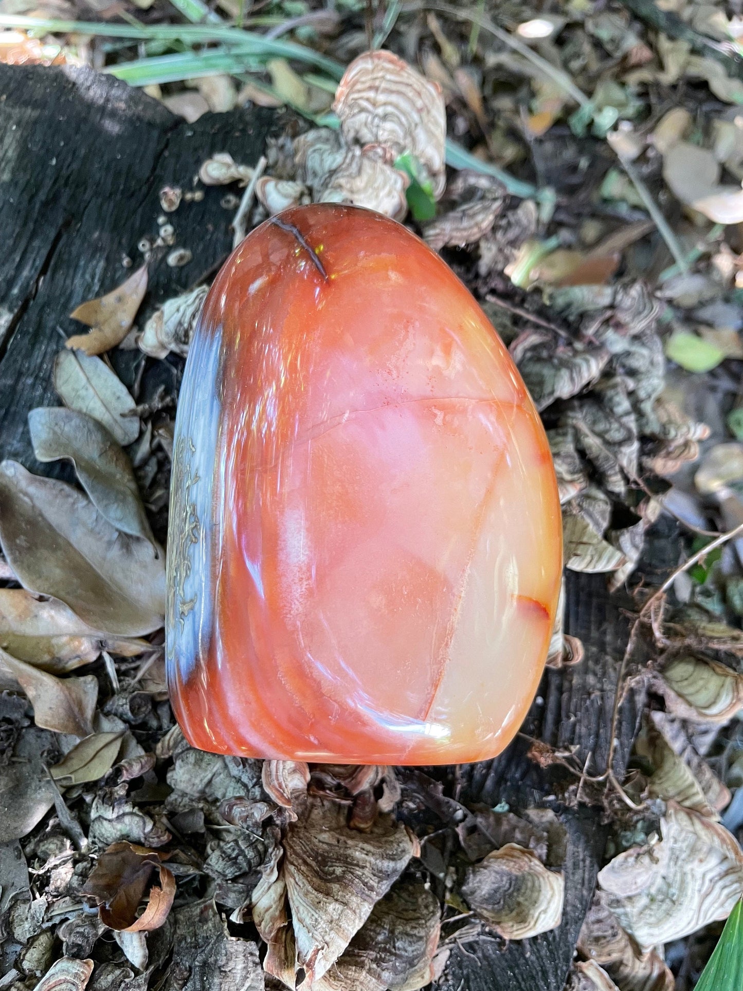 Carnelian Free Form Specimen 958g 2lbs 1.8oz From Madagascar Specimen Crystal