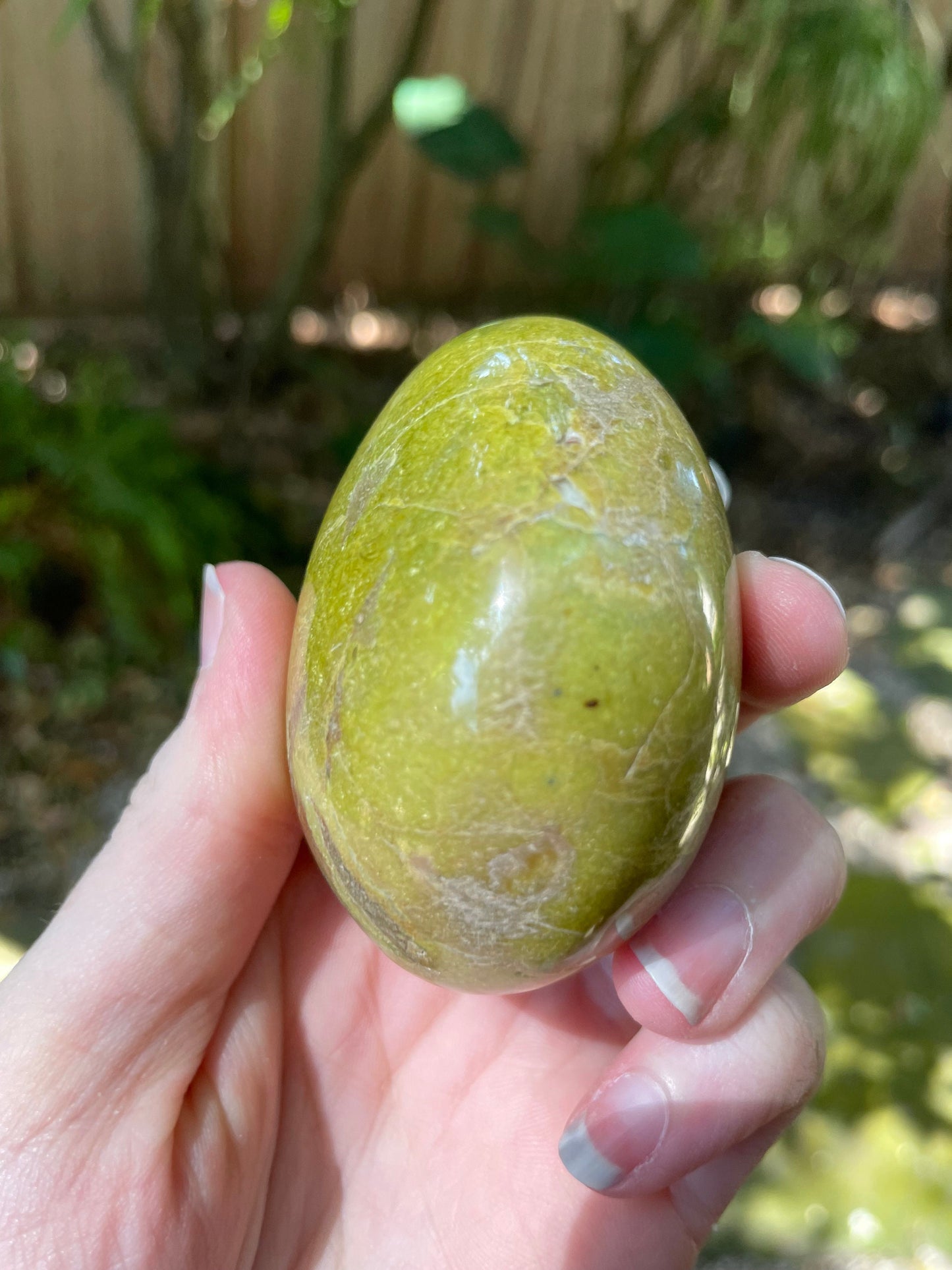 Polished Green Opal Palm Stone From Madagascar, Specimen 190g