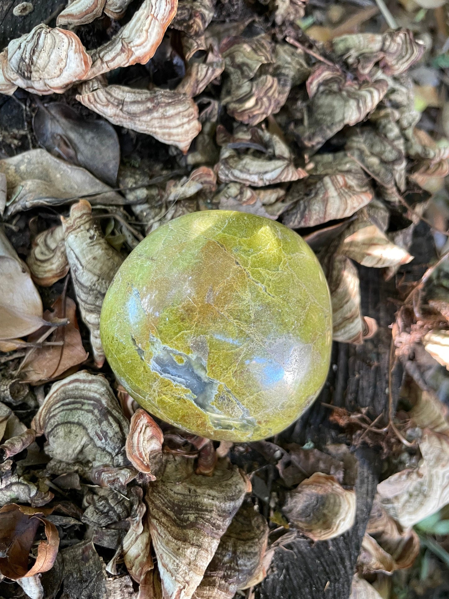 Polished Green Opal Palm Stone From Madagascar, Specimen 190g