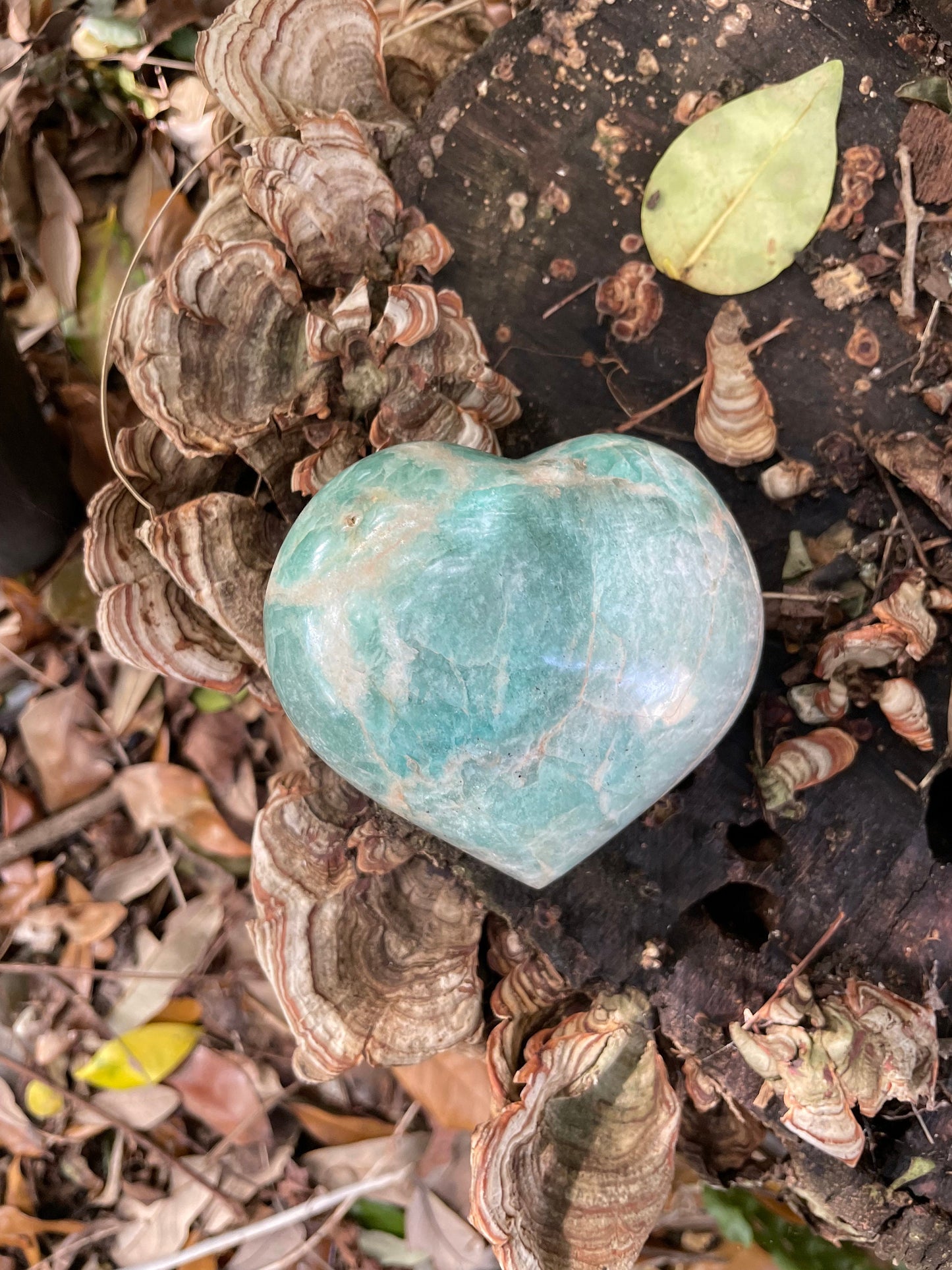 Blue Polished Amazonite Hearte 404g From Madagascar