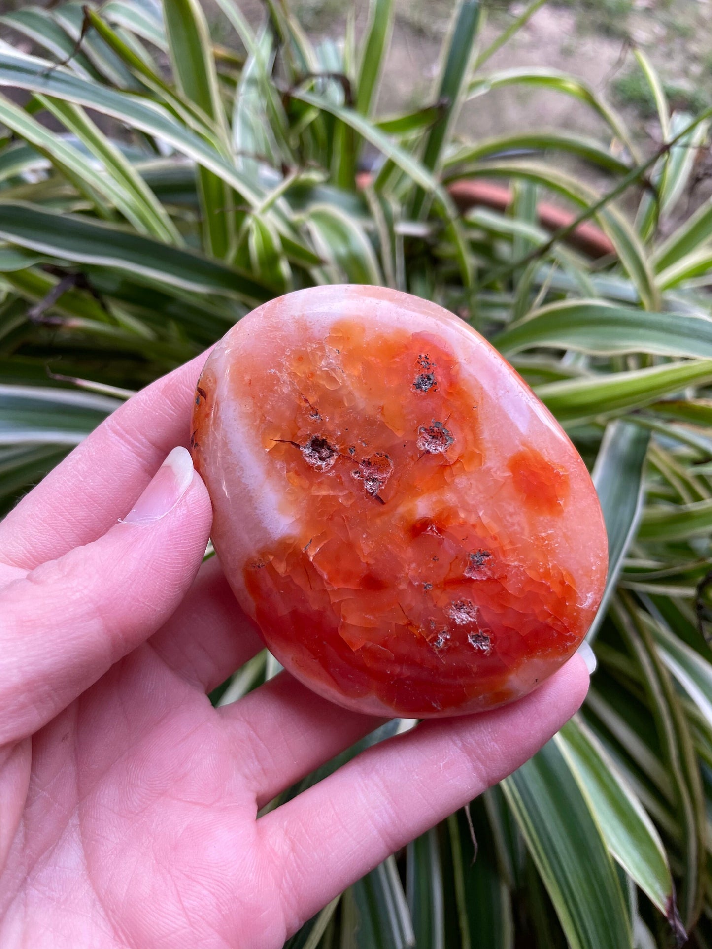 Carnelian Palm Stone Specimen 126.4g Specimen From Madagascar