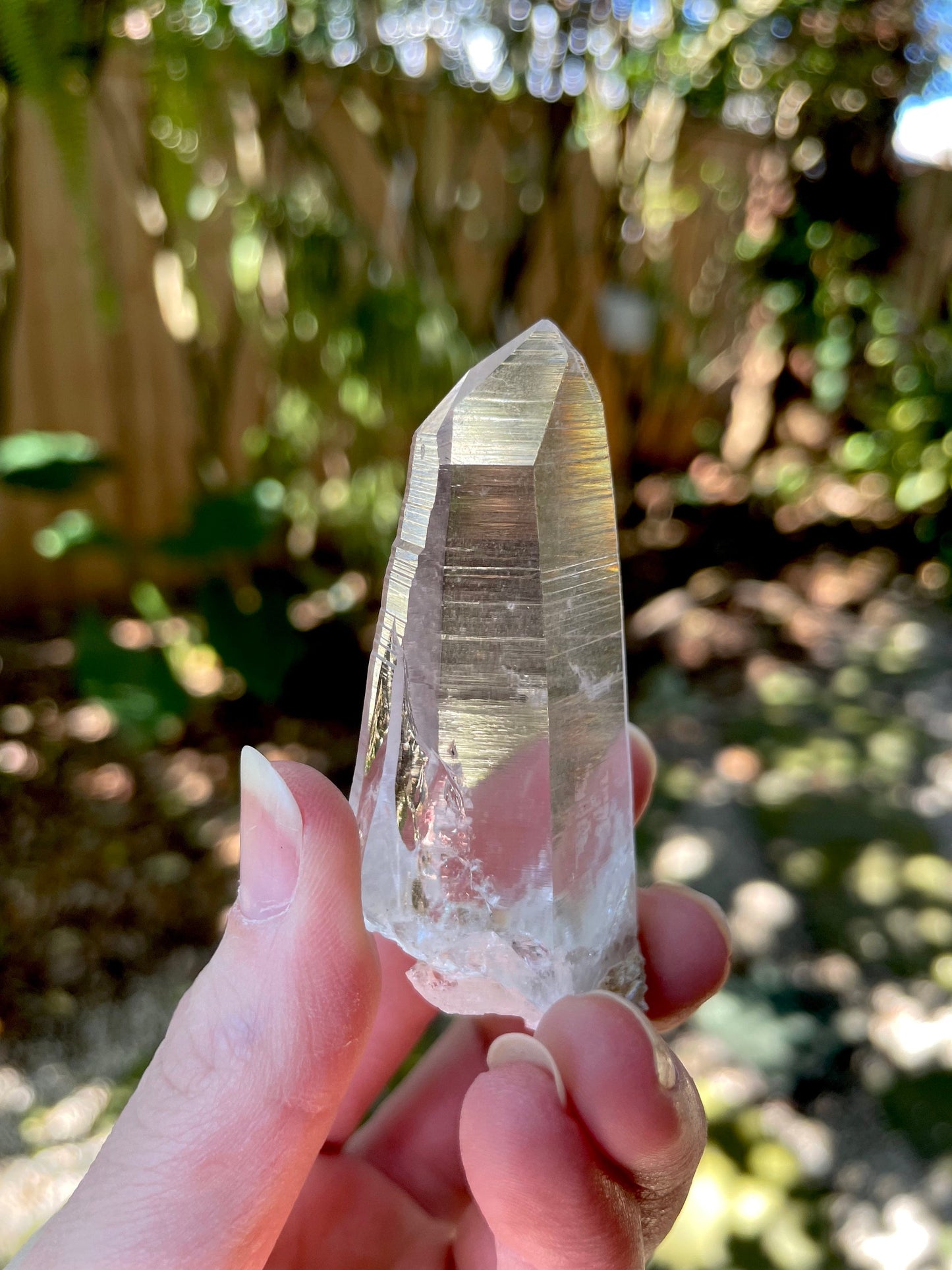 Stunning Columbian Lemurian Optical Quartz Point with Phantom Specimen 47.3g Mineral Crystal